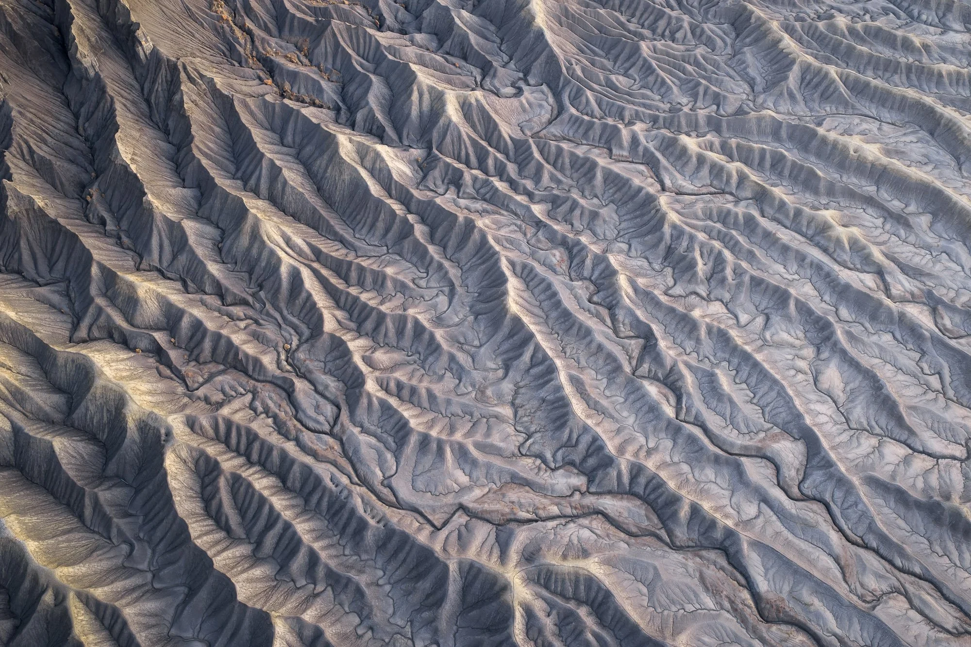 DJI_20260419073104_0542_D.jpg