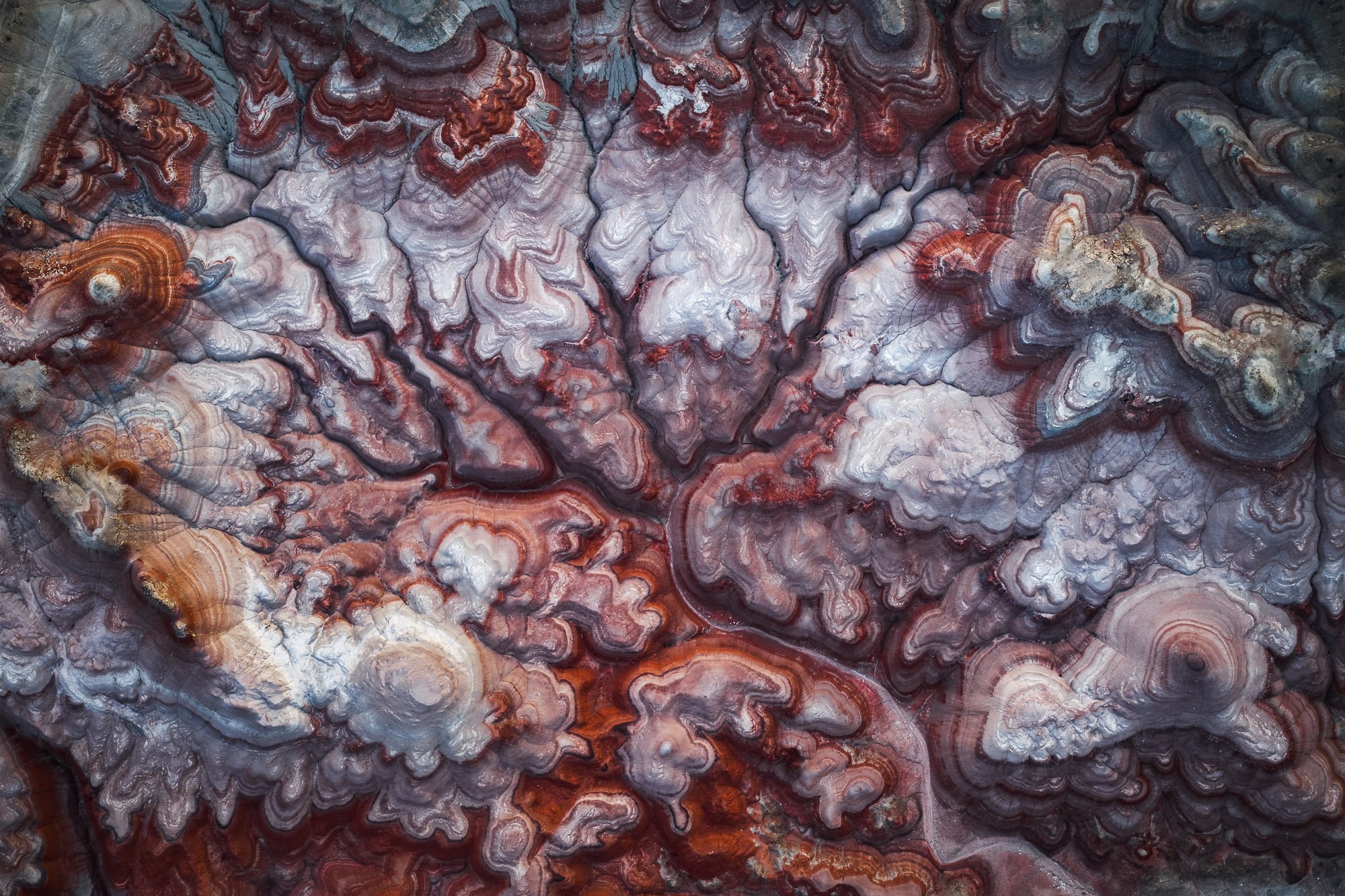 DJI_20260417211116_0354_D.jpg