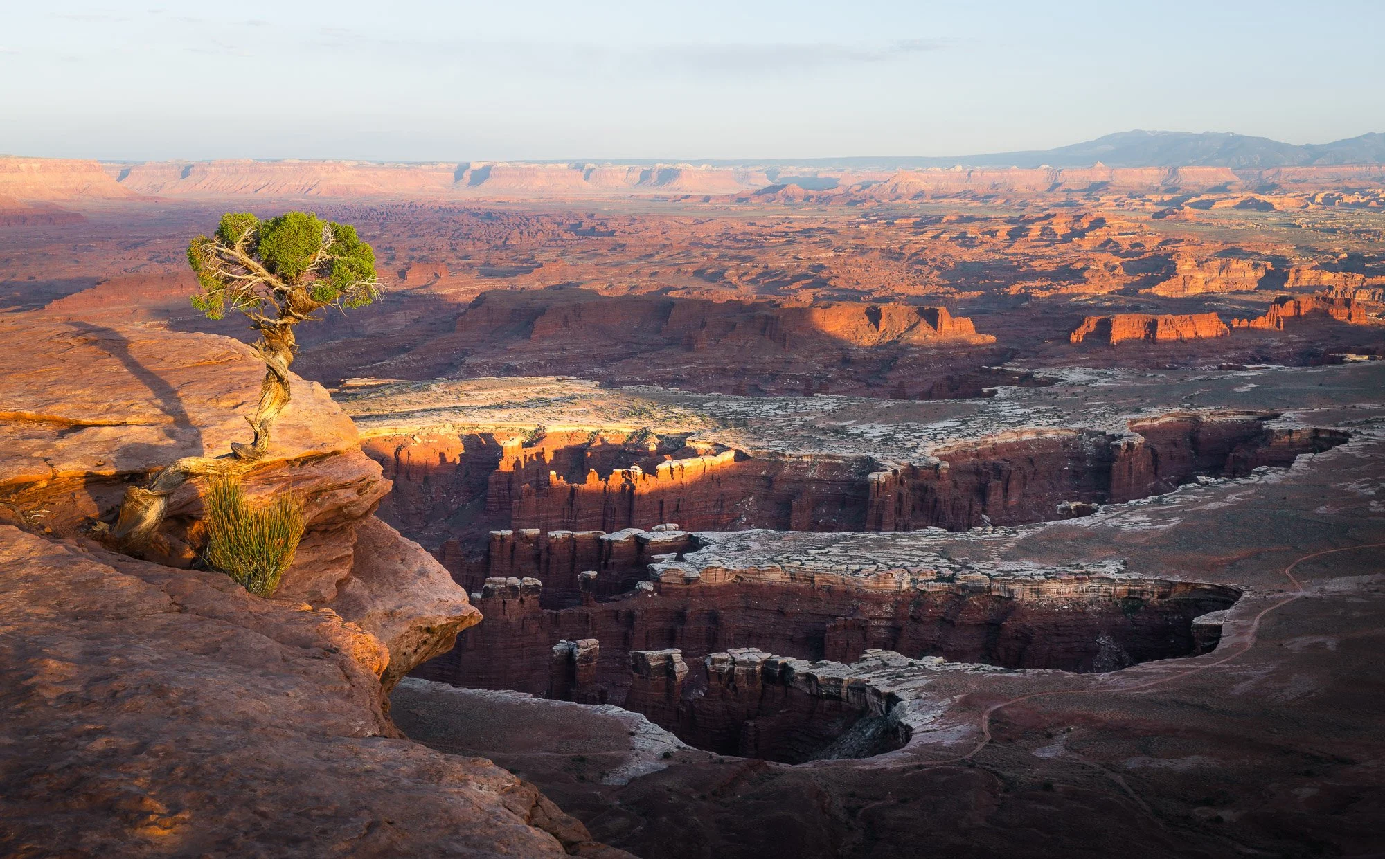 _DSC5561.jpg