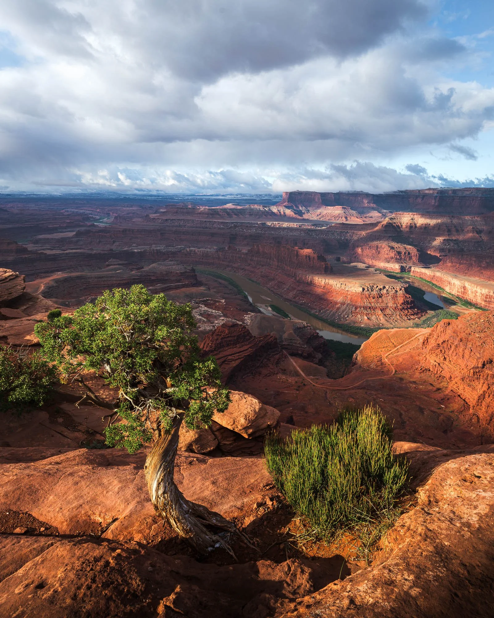 _DSC5063.jpg