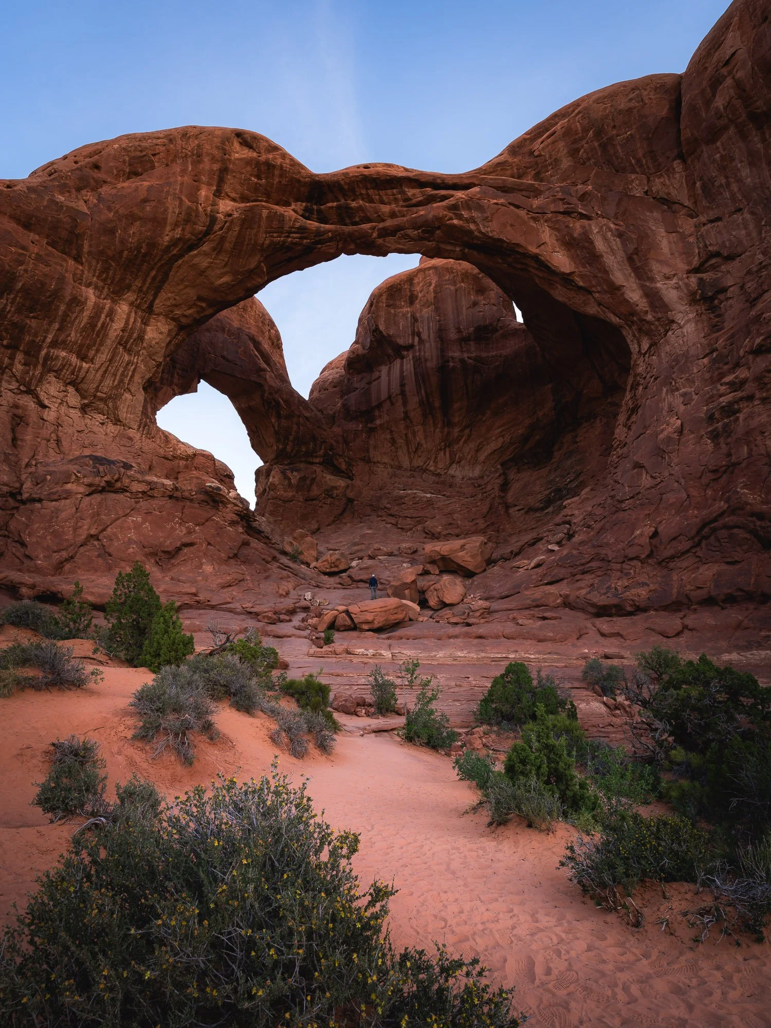 _DSC5803.jpg