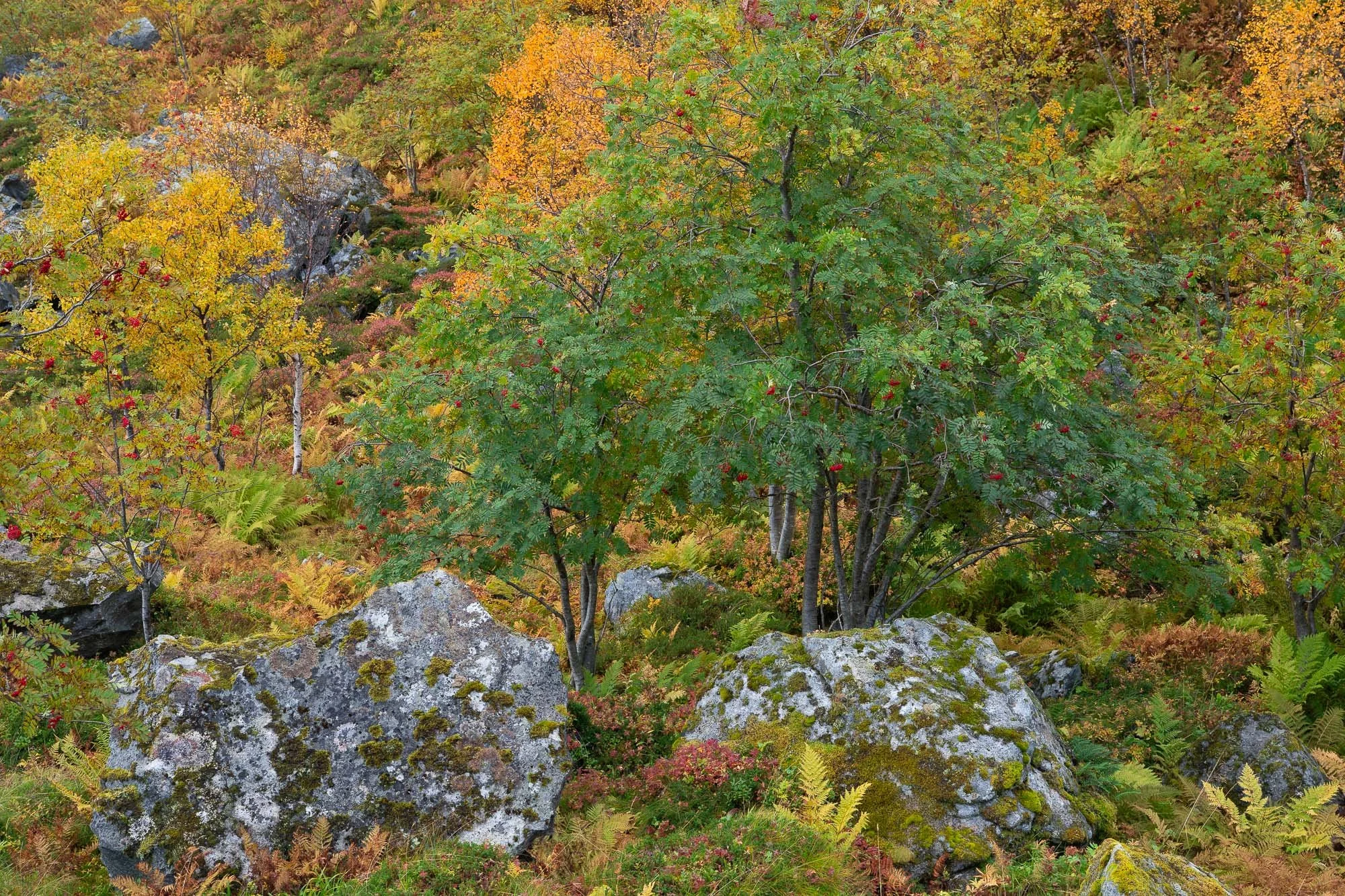 _DSC7578.jpg