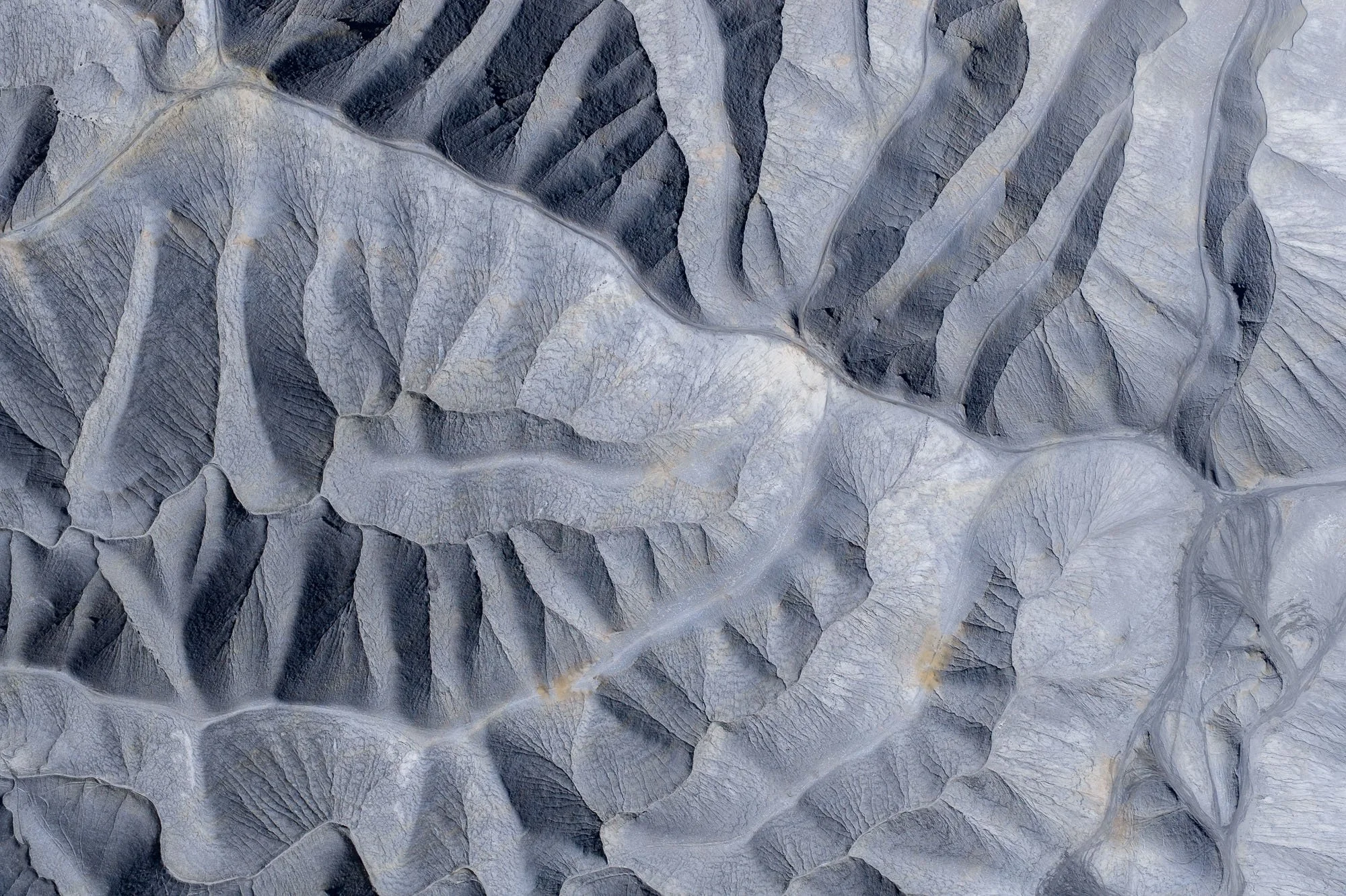 DJI_20260419115112_0729_D.jpg