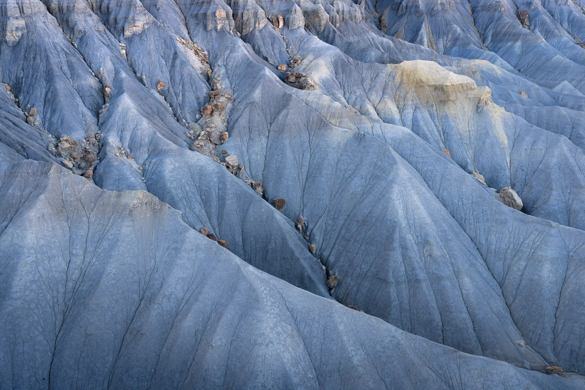 DJI_20260418094659_0488_D.jpg