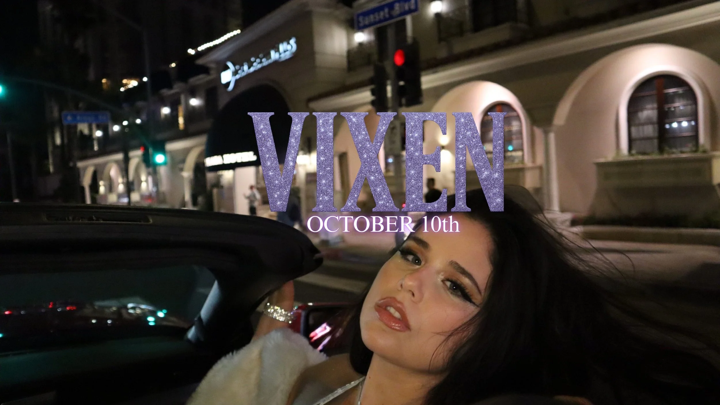 VIXEN BANNER LARGE copy.jpeg