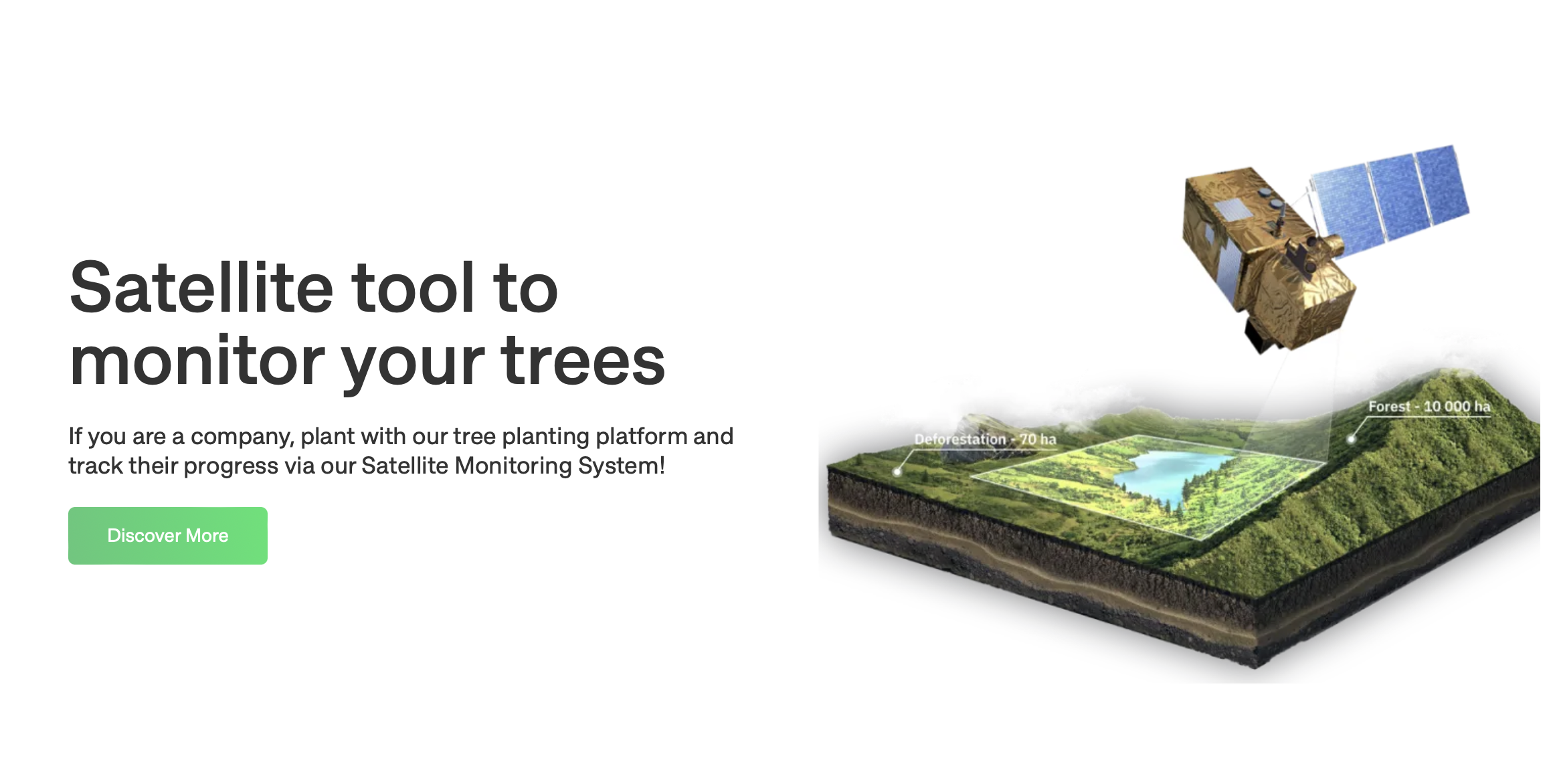 Satellite tool to monitor your trees