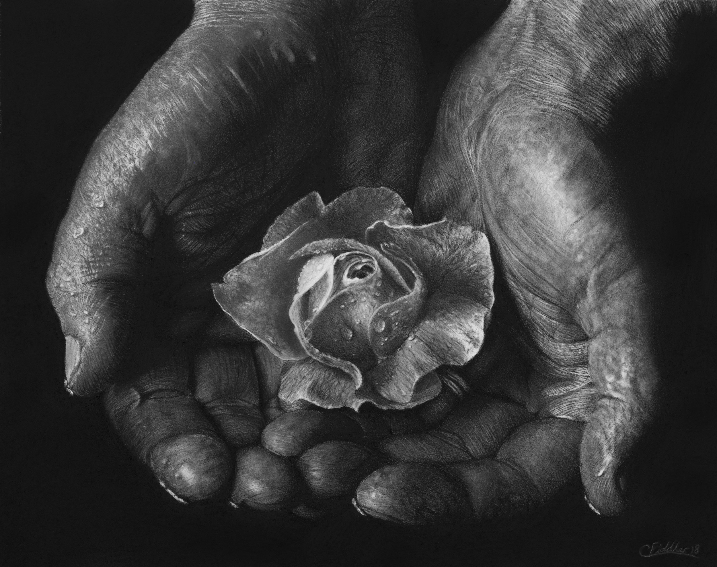 final+hand+pic.jpg