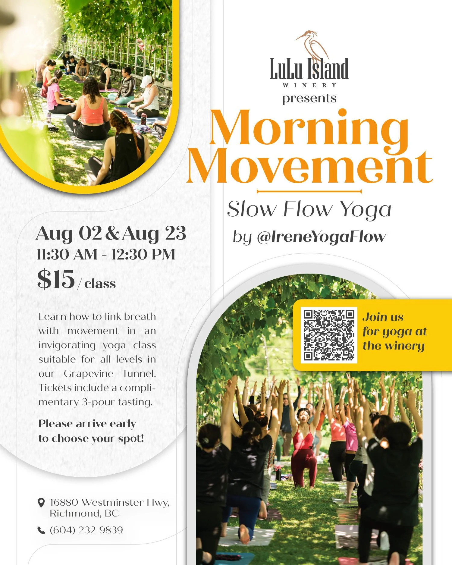 Morning Movement: Slow Flow Yoga