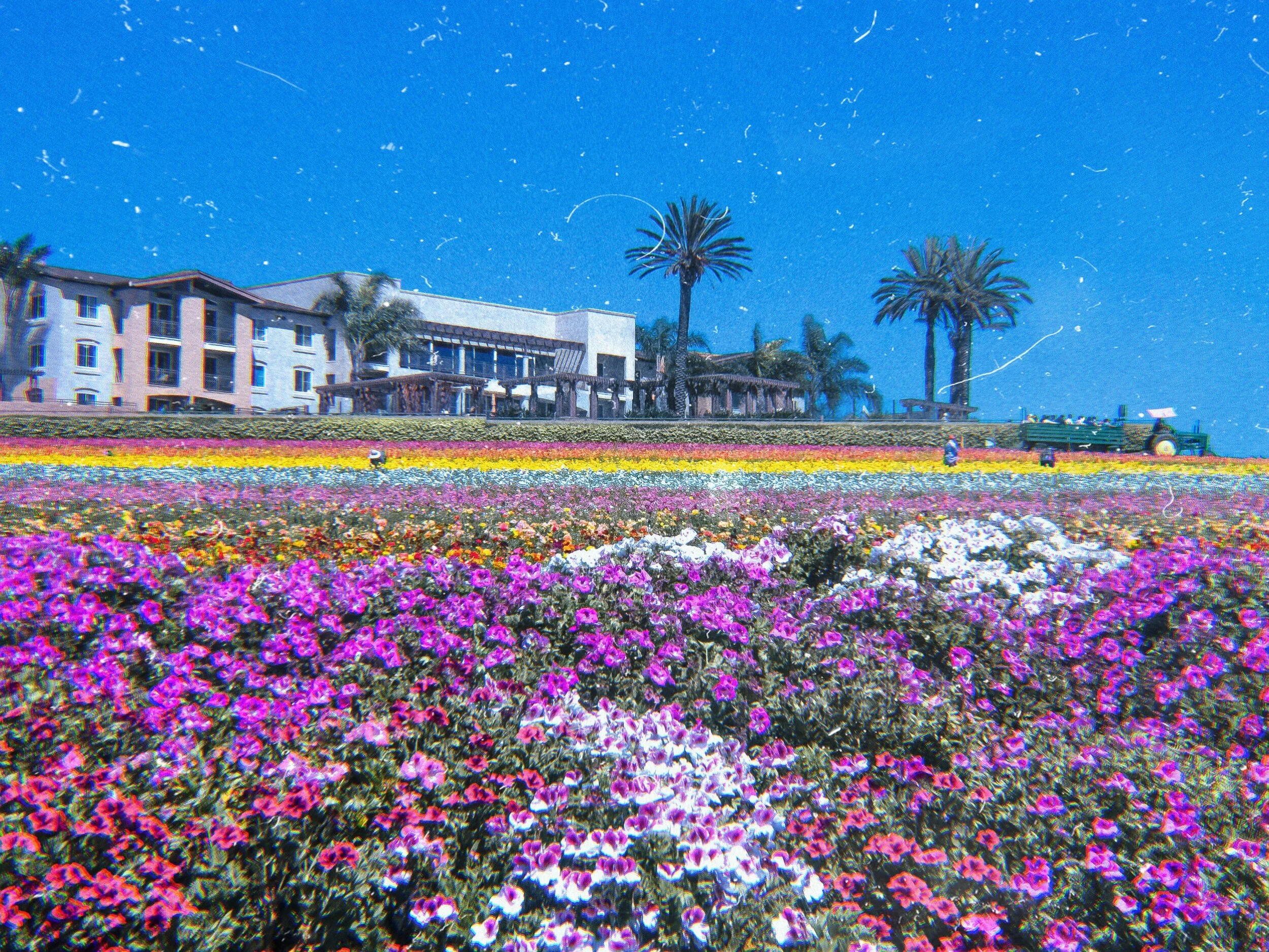 Kuni_1569390462413.jpg