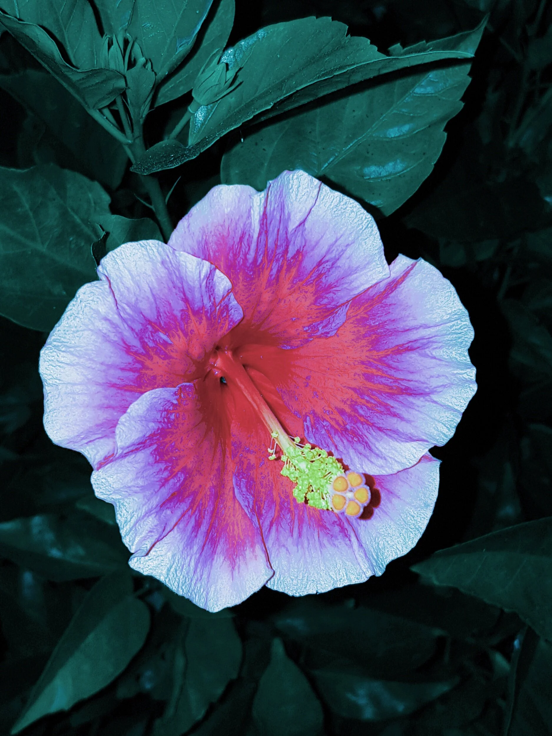 processed_2019-09-10 02.54.31 1.jpg
