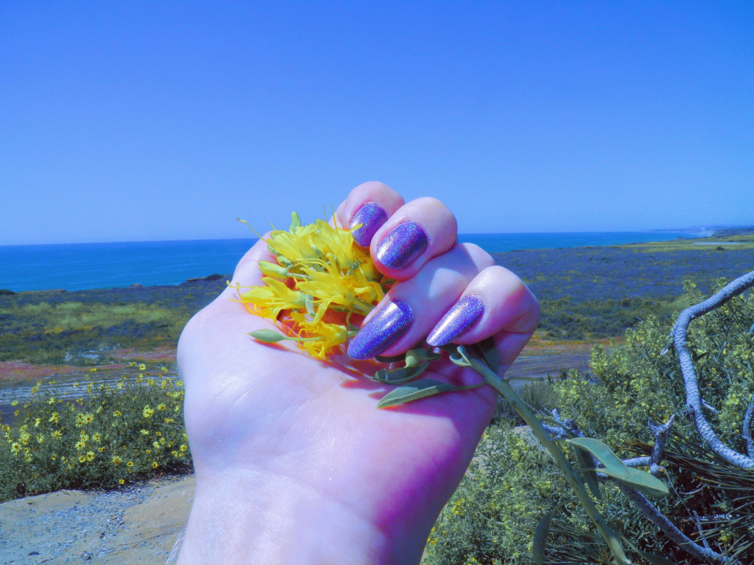 processed_2019-09-25 08.40.50 1.jpg