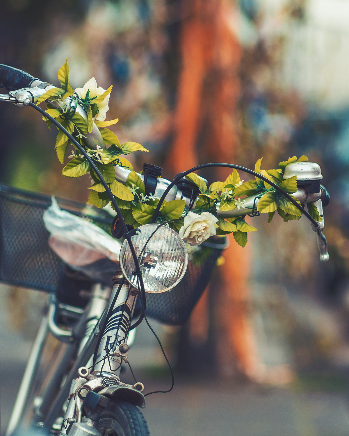 vines on handle bars_cropped.jpg