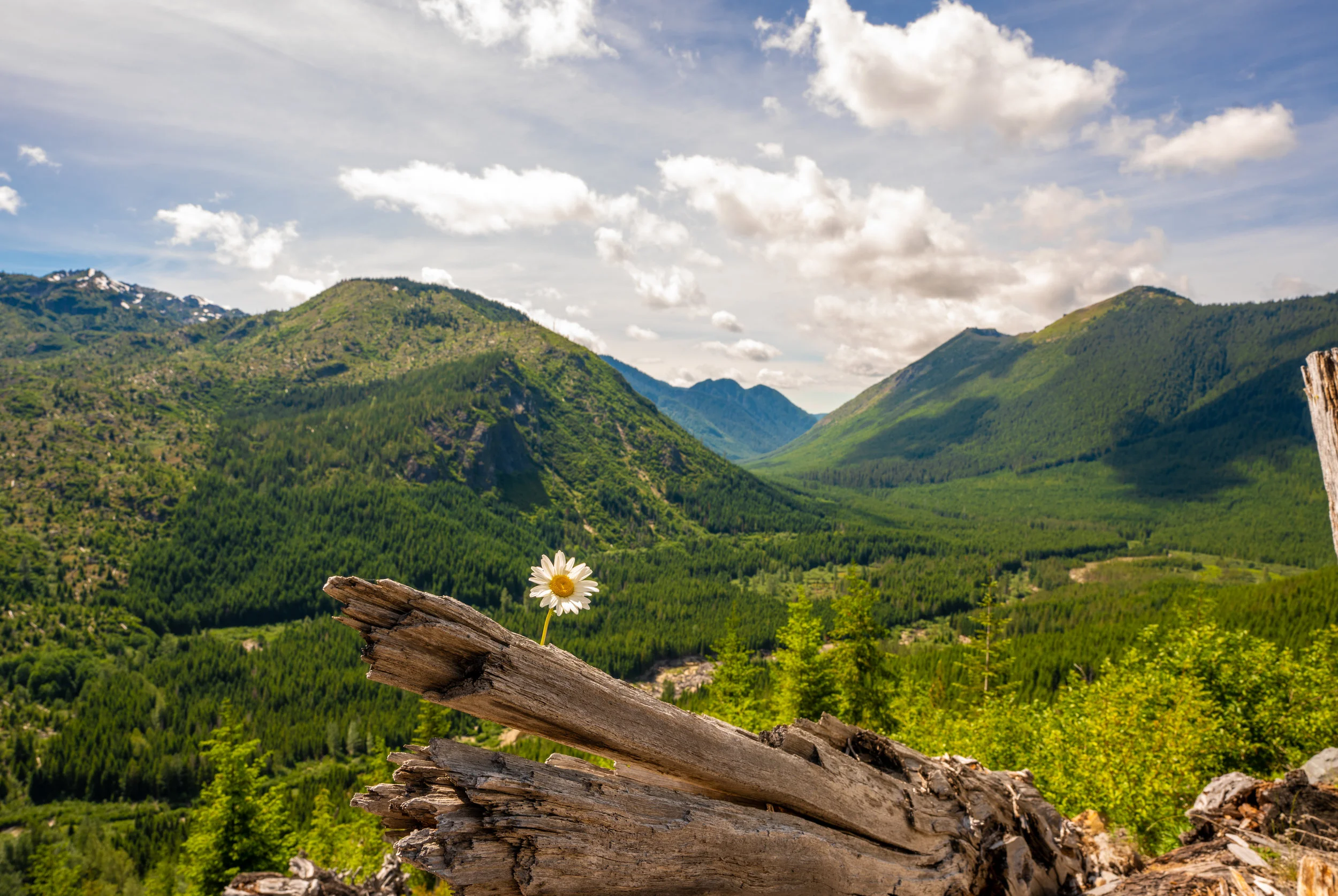 Hiking trip in the Gifford Pinchot National Forest