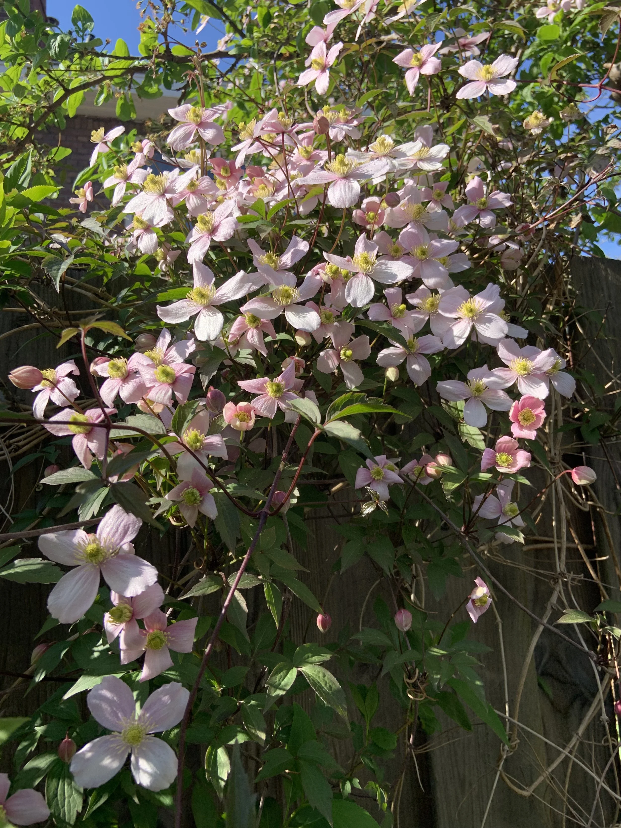 Grow Your Business Through Purposeful Profit by Doing Good