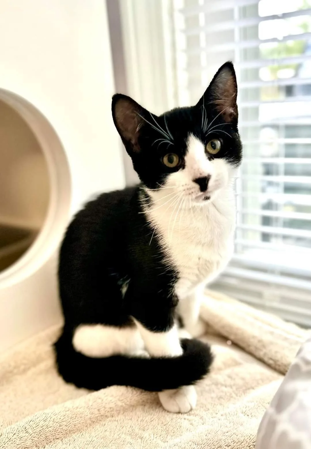 Meet Patti!