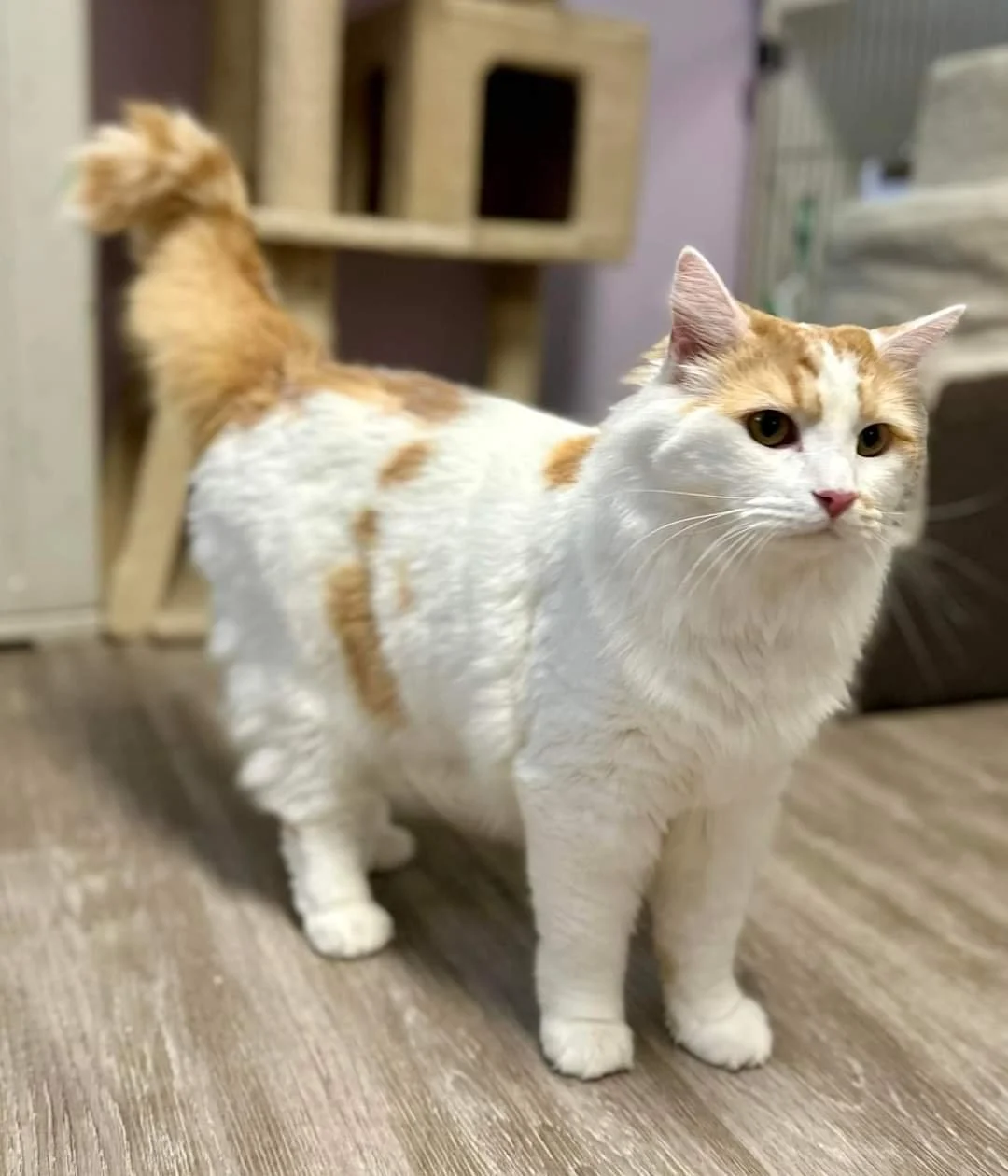 Meet Lenny! 