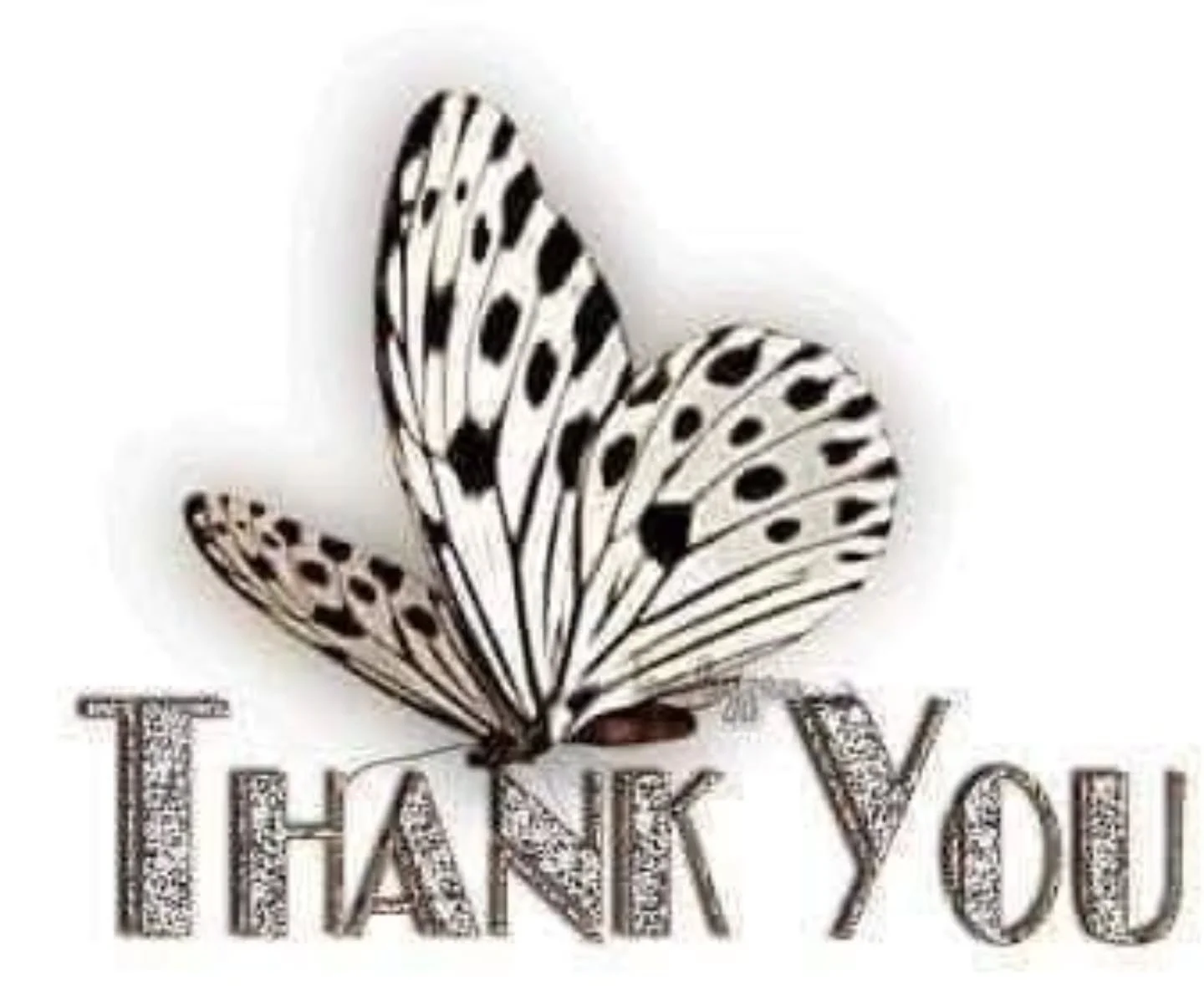 Thank you to Michele and Michele S. and anonymous donors of pet food, supplies and linens for the Marshfield Animal Shelter.  Your support is unwavering  and truly appreciated.