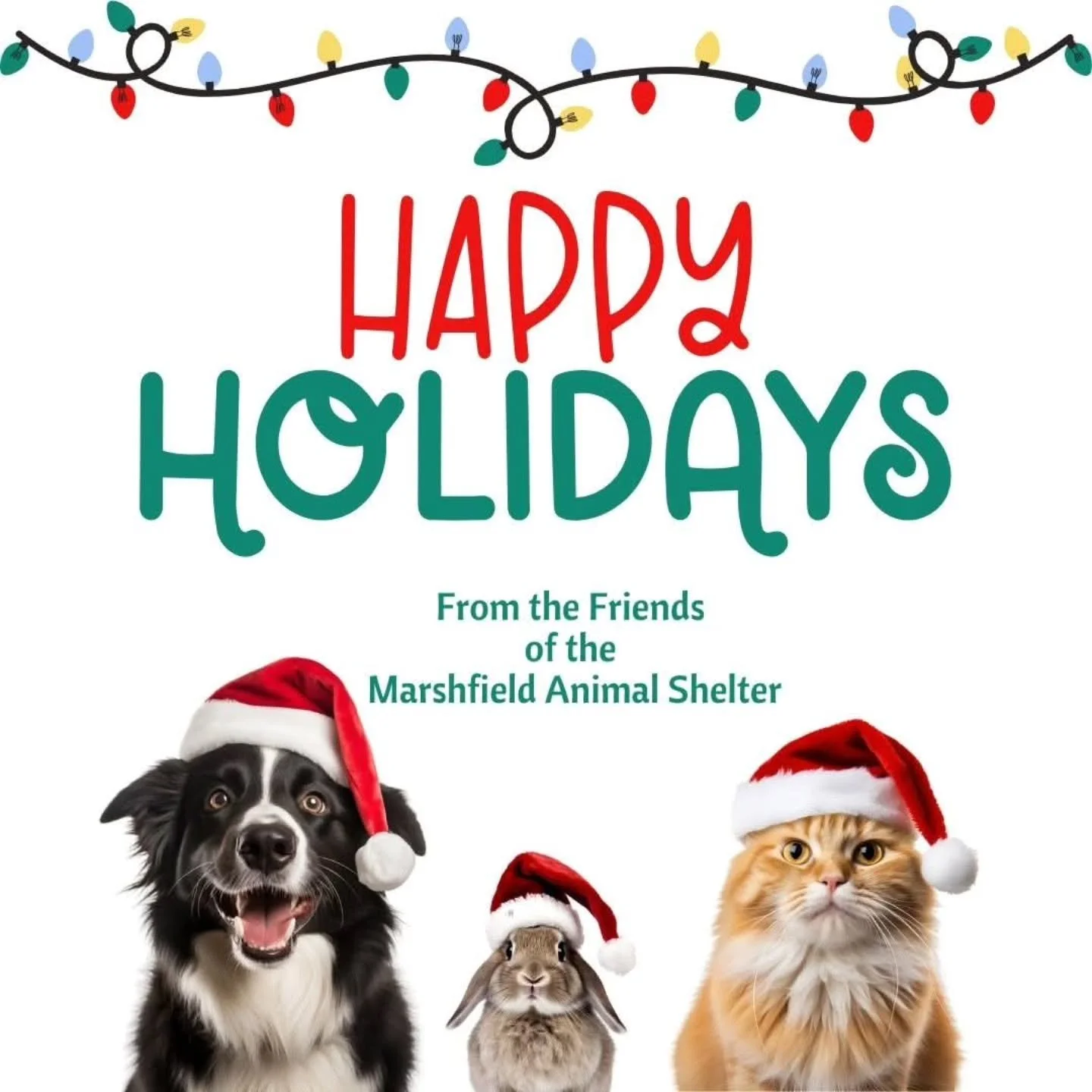 Make an impact for animals. givebutter.com/fomas
Your year end tax deductible donation, in any amount, helps improve the life of a homeless pet at the Marshfield Animal Shelter.