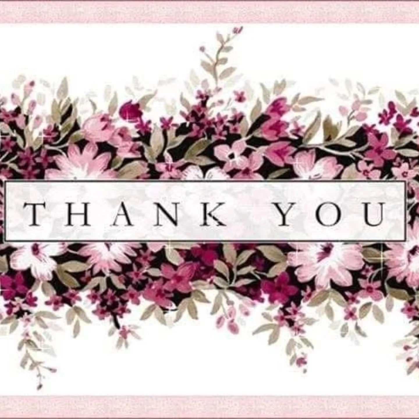 Thank you to Nicole M., Marshfield Chiropractic, John B., Star Market and all our anonymous donors who generously  gave us pet food, cat litter, paper towels, cleaning supplies, linens etc.
You make a difference for animals every day.