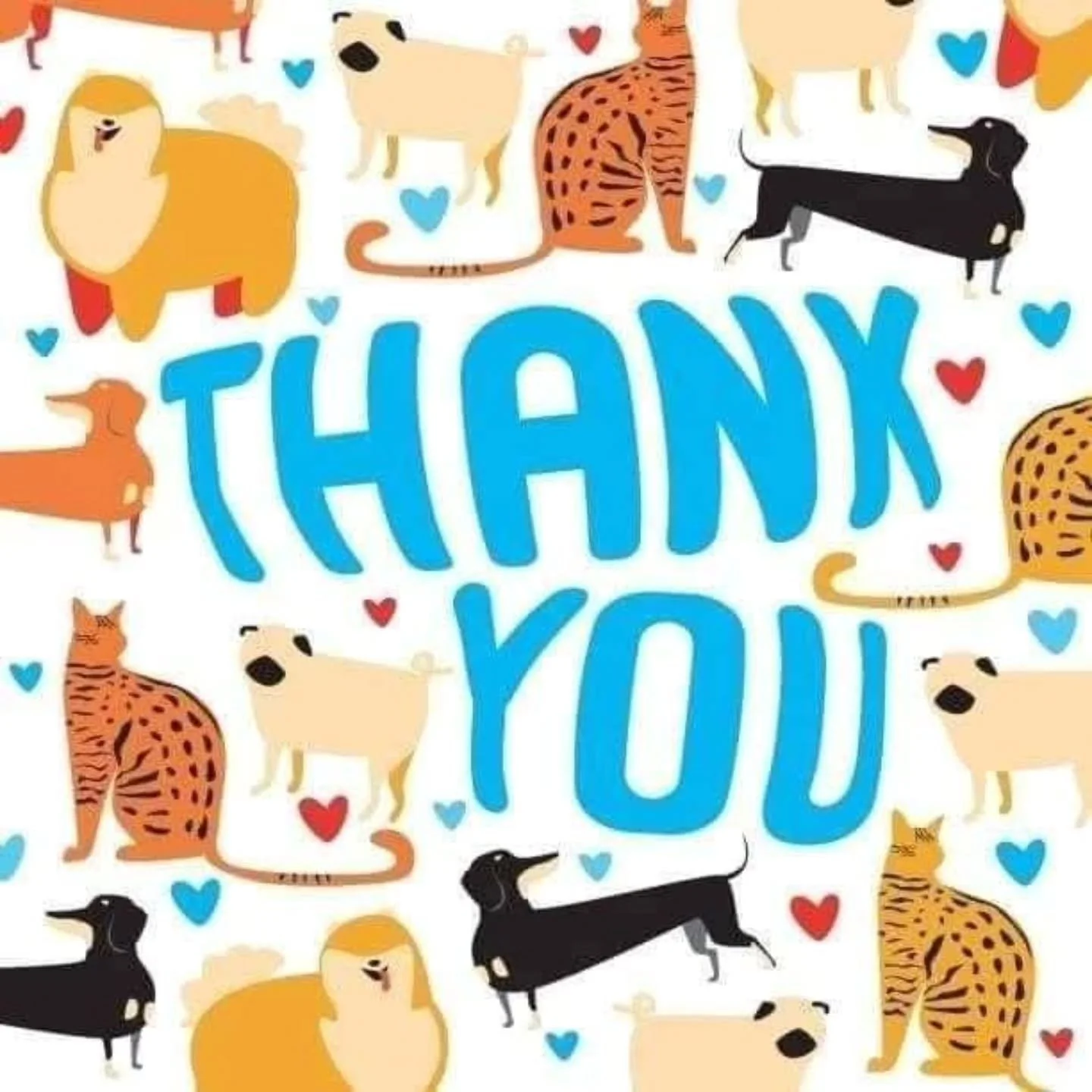 Big Thanks to Norwell Girl Scout Troop 70754 for donating wet and dry cat and dog food ❤️