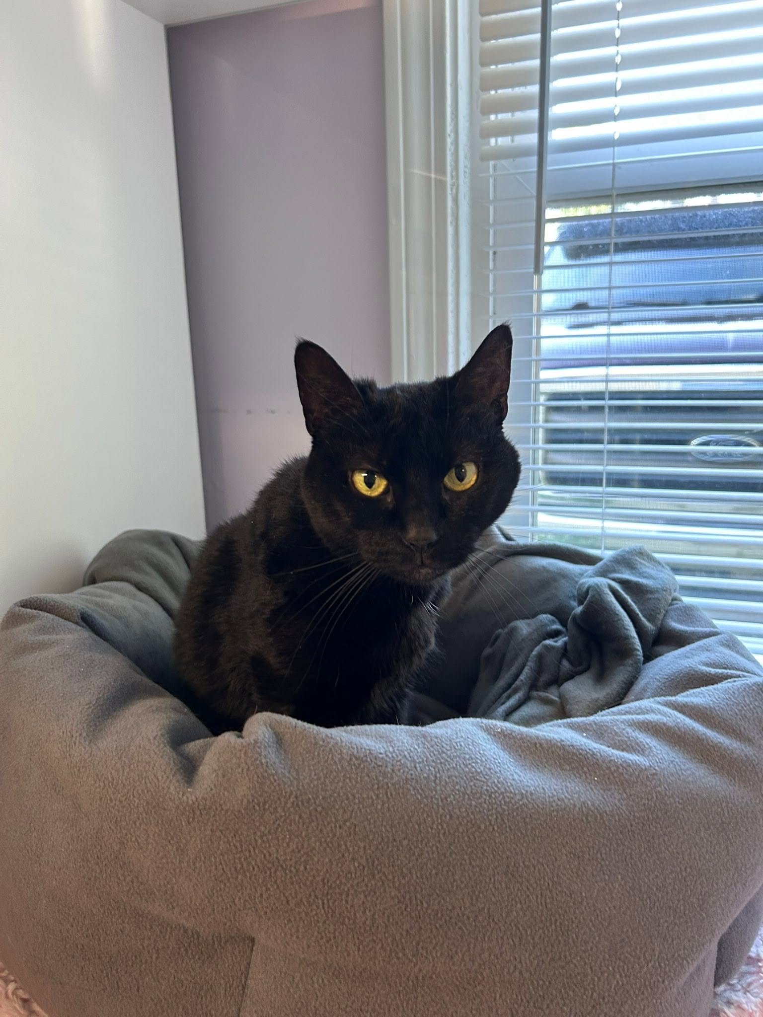 Meet Luna!