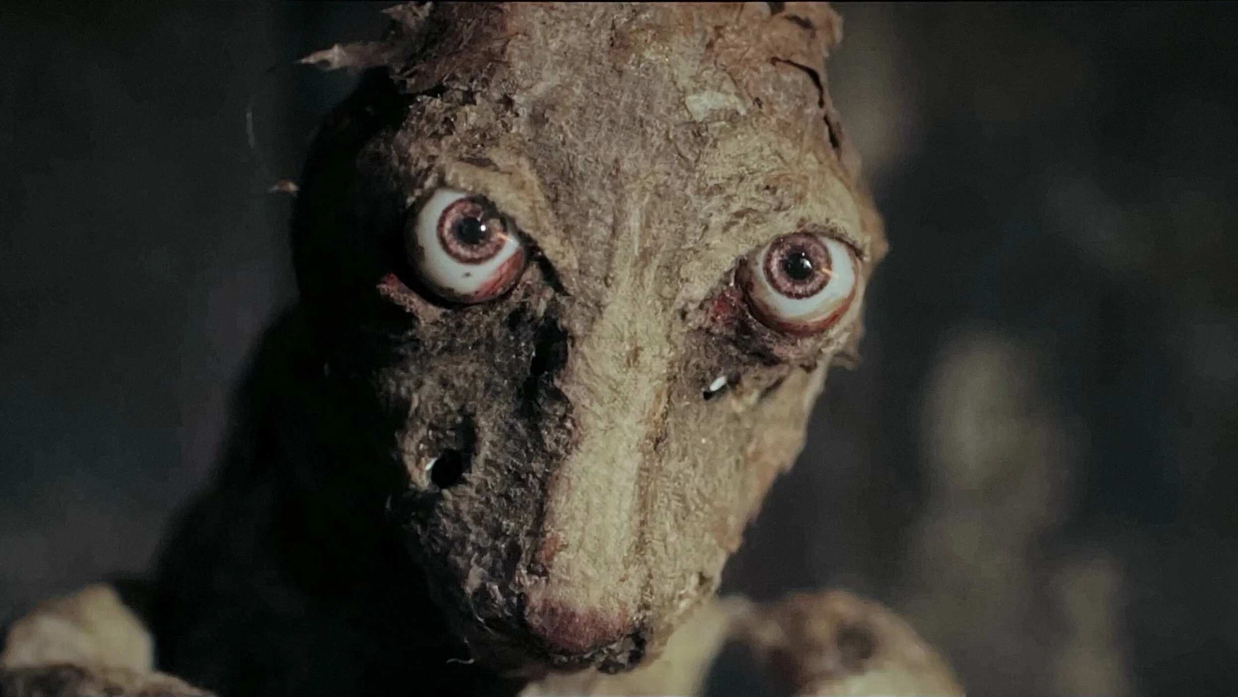 Film Review — "Caveat"