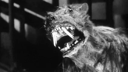 Danse Macabre #11: Film Review — "The Killer Shrews" (1959)