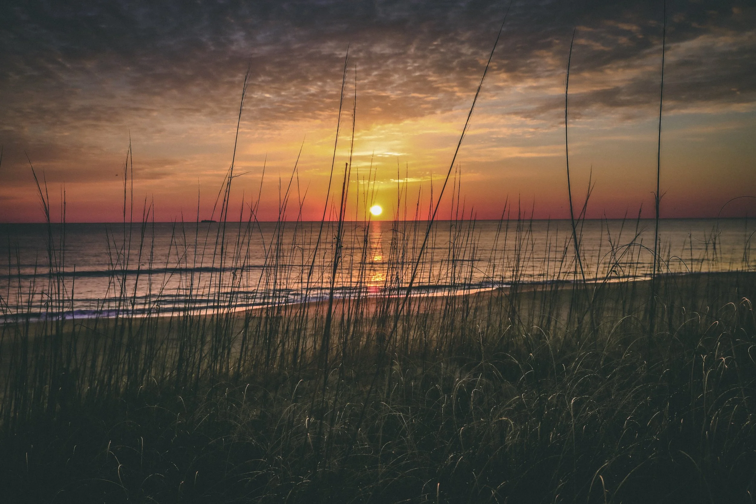 1E9E4C6D-5749-4B48-A729-0D87B1FCB355.jpeg