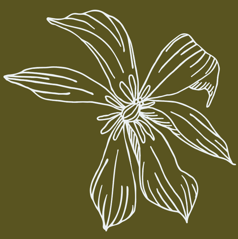 Screen Shot 2022-02-06 at 11.55.53 AM.png