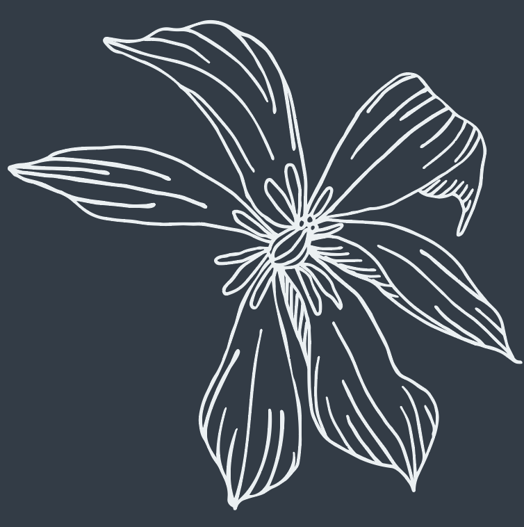 Screen Shot 2022-02-06 at 11.56.33 AM.png