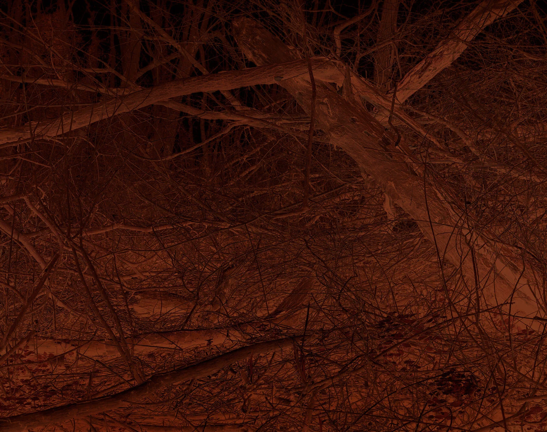 FROM-THE-LAKEBED-14.jpg
