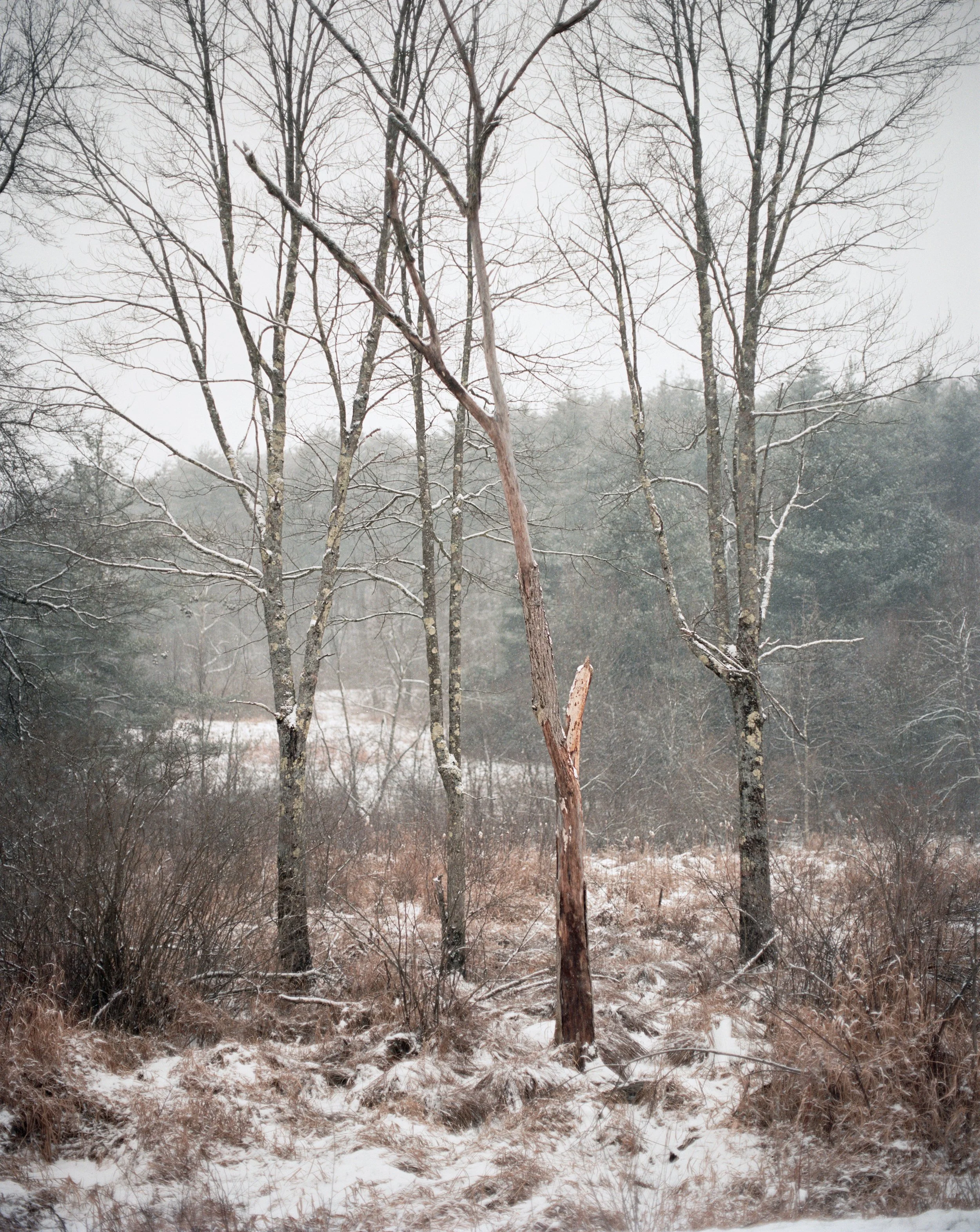 RICHARD UPSTATE NEW YORK16 (6).jpg