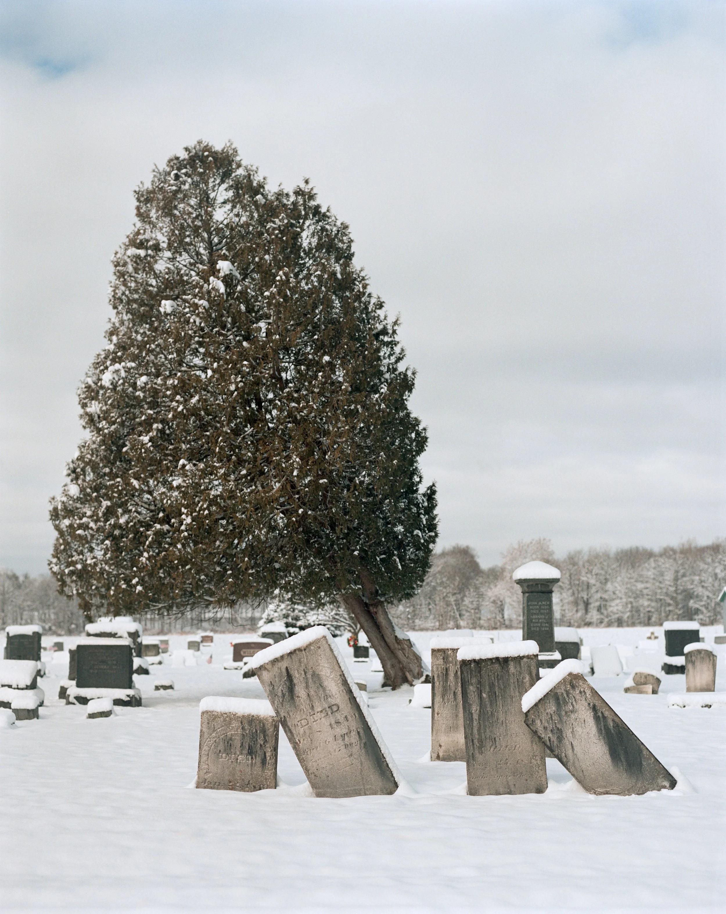 RICHARD UPSTATE NEW YORK16.jpg