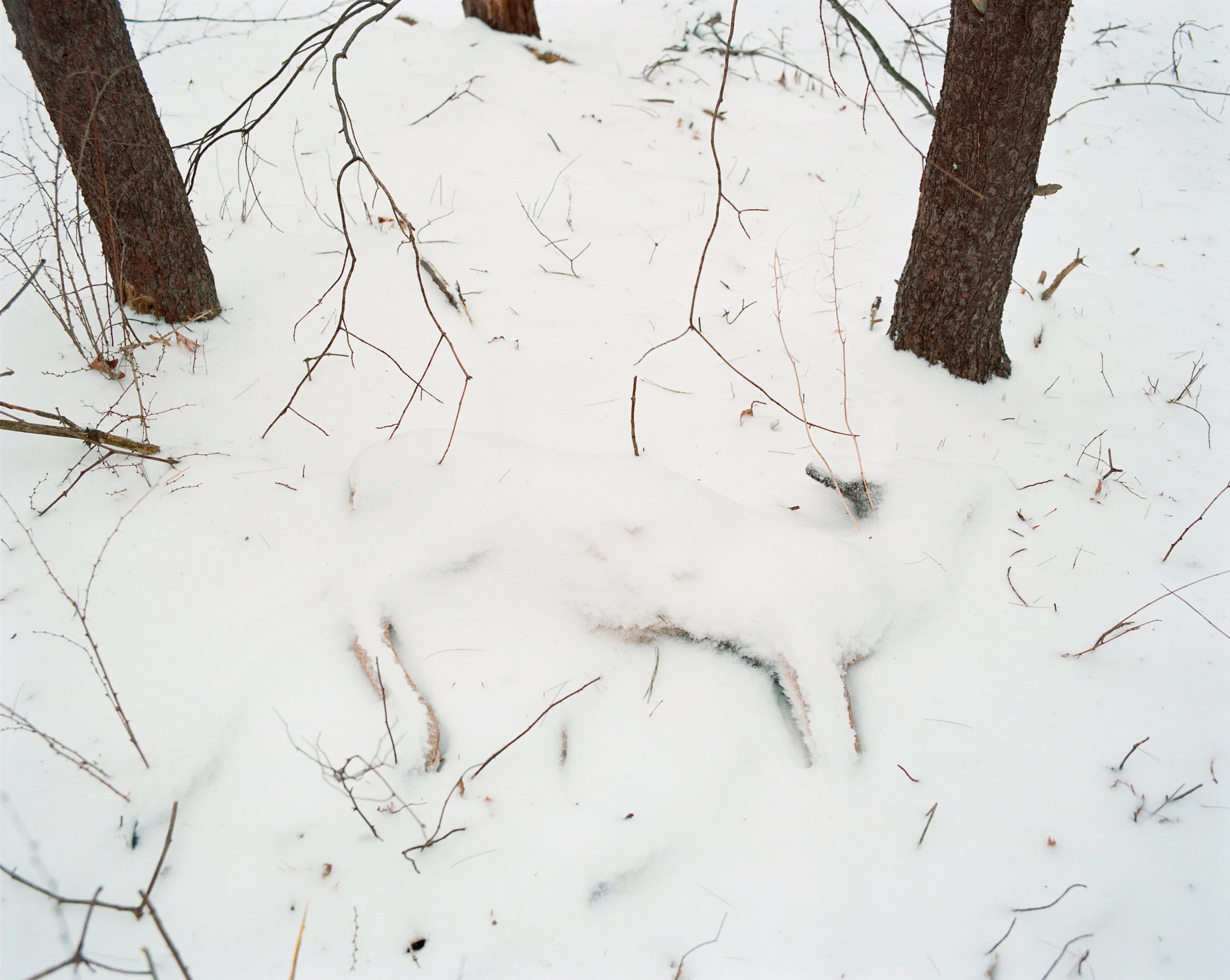 RICHARD UPSTATE NEW YORK26.jpg