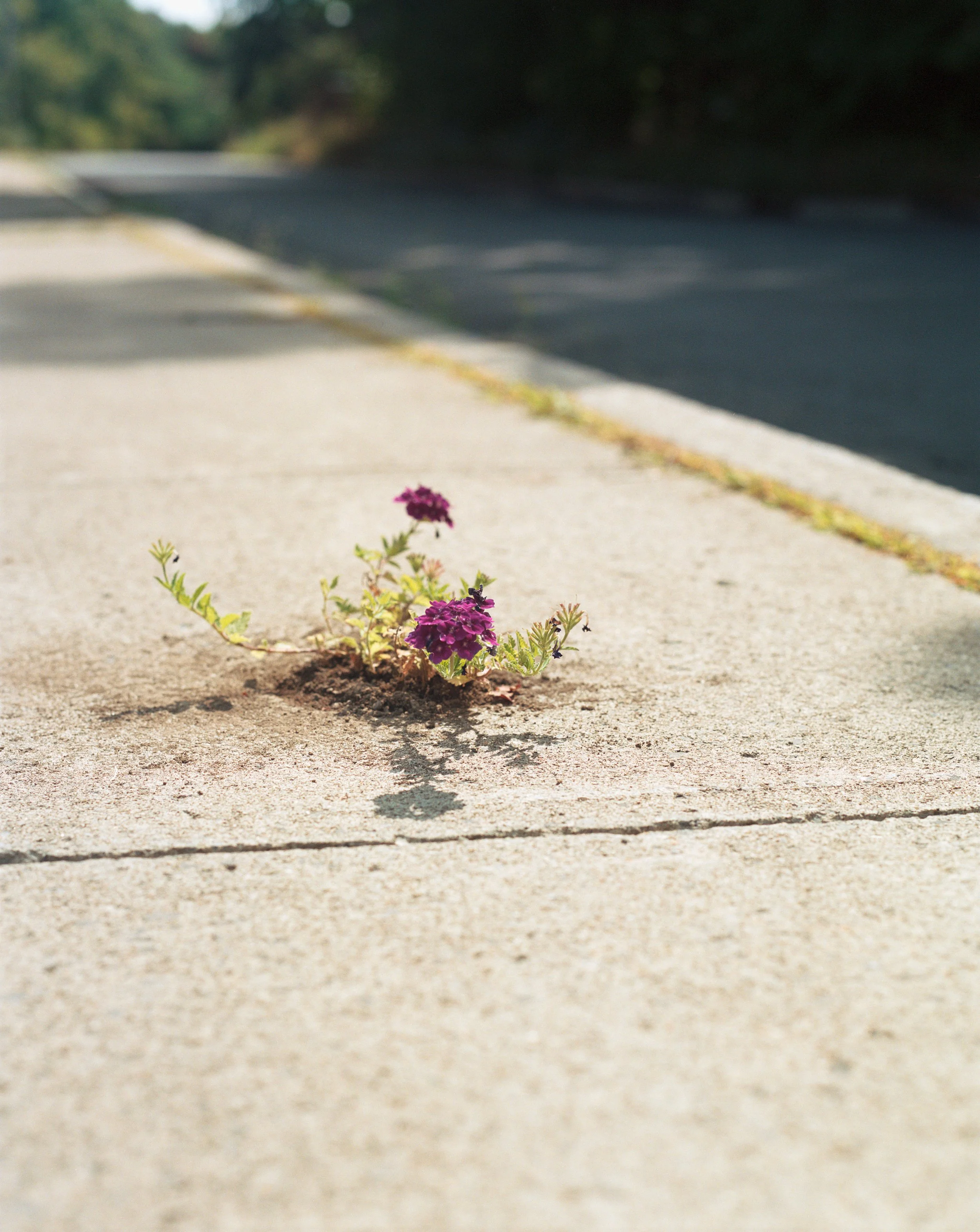 RICHARD UPSTATE NEW YORK35.jpg