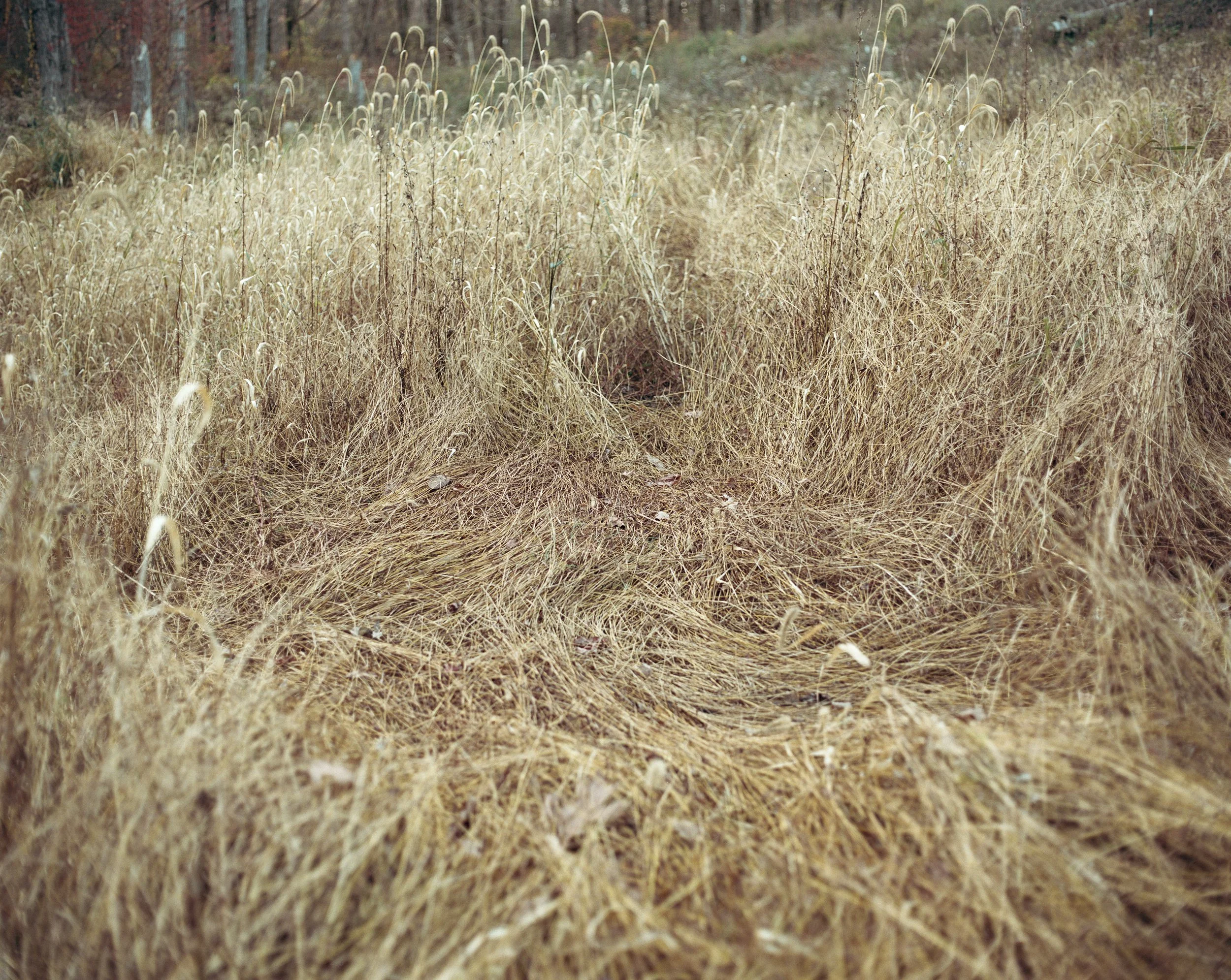 RICHARD UPSTATE NEW YORK41.jpg