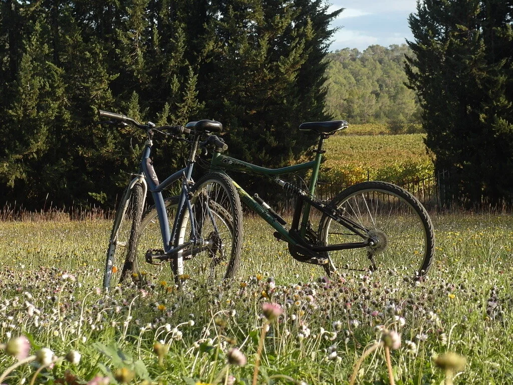 Au départ du Domaine de Monteils de nombreux circuits à vélo pour un séjour de détente en pleine nature autour de Montpellier et l'Hérault