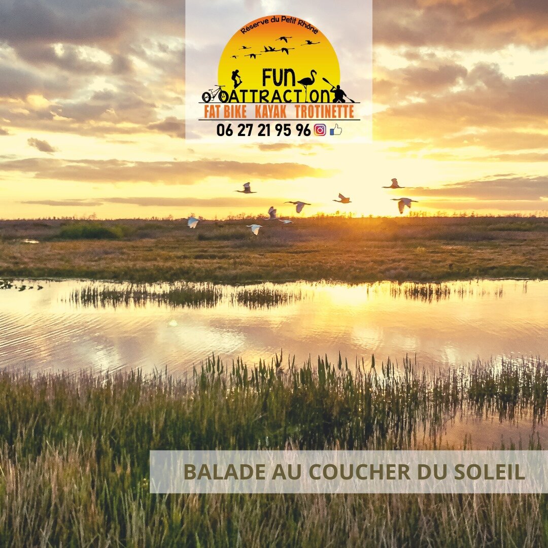 kayak en camargue.jpeg