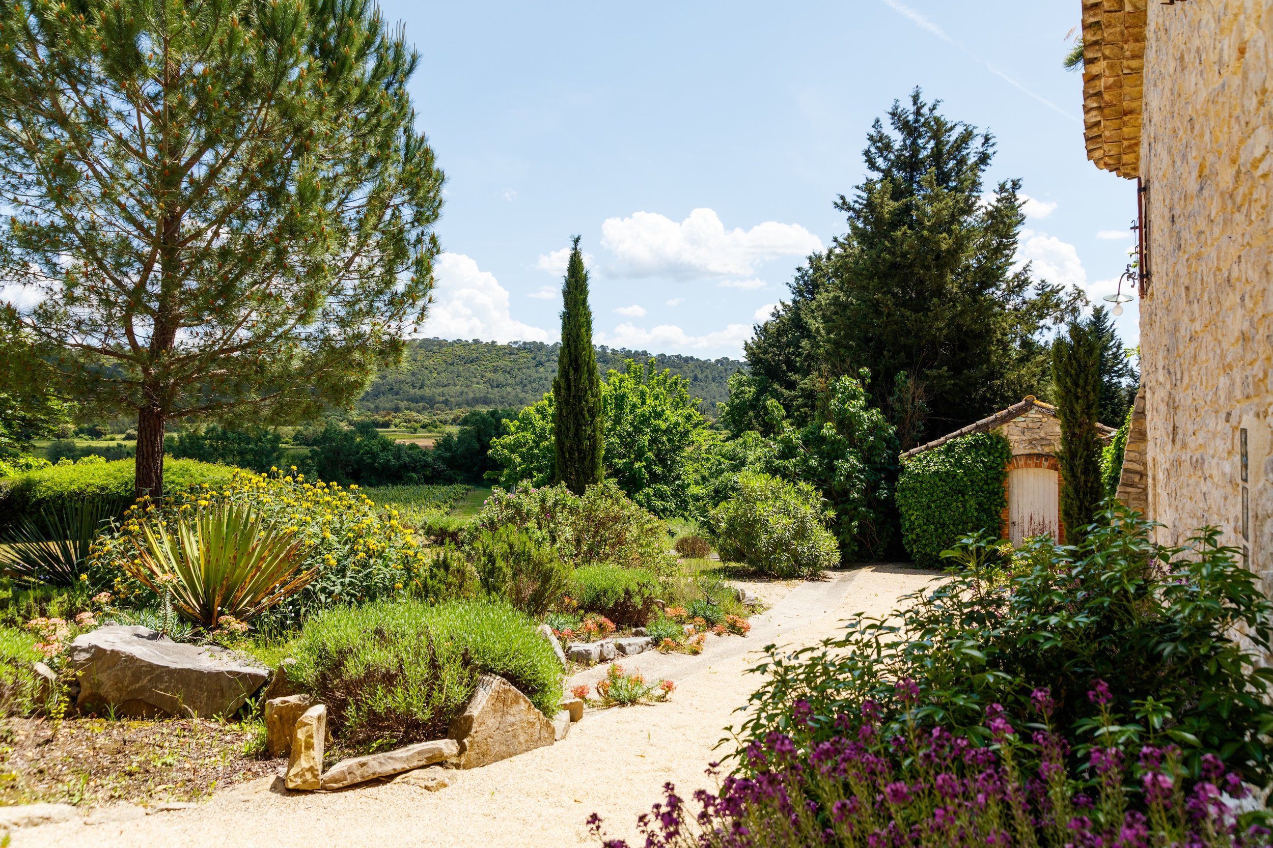 jardin 2.jpg