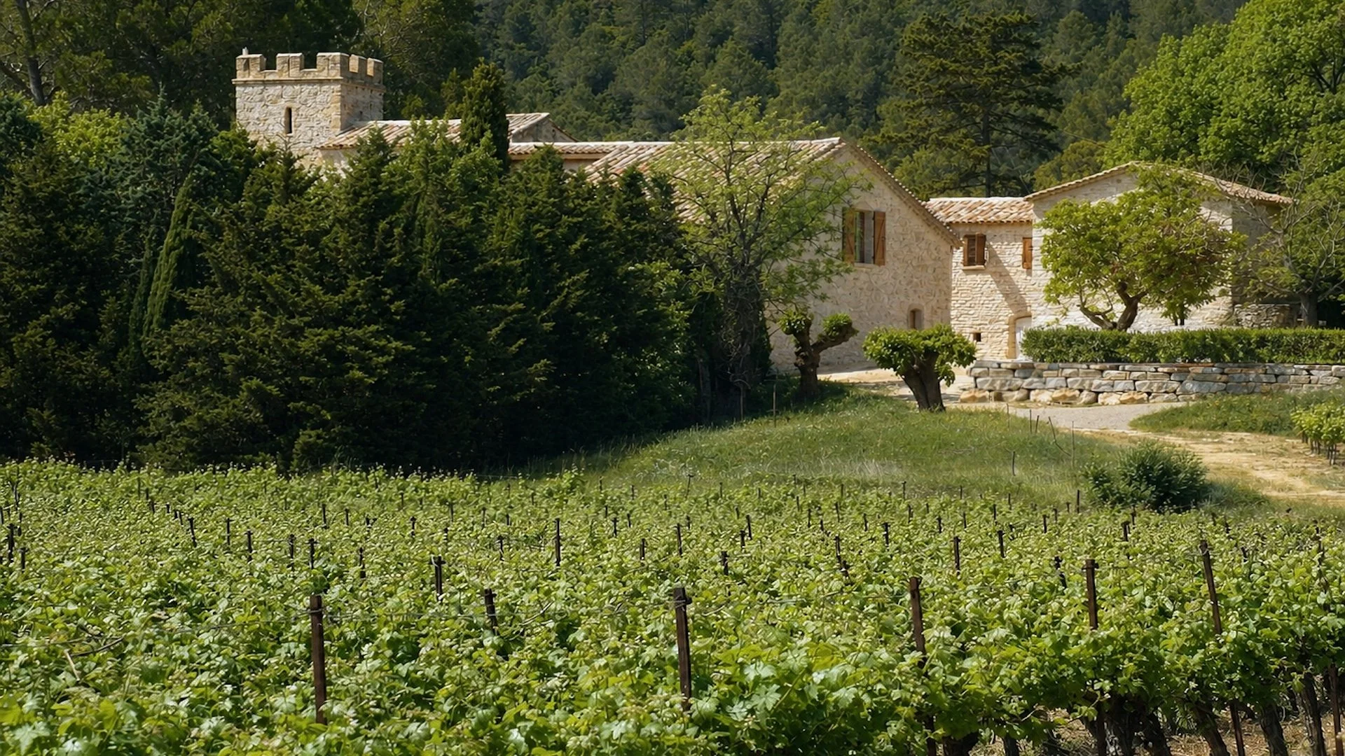 Séjour dans un domaine viticole en Languedoc.jpg