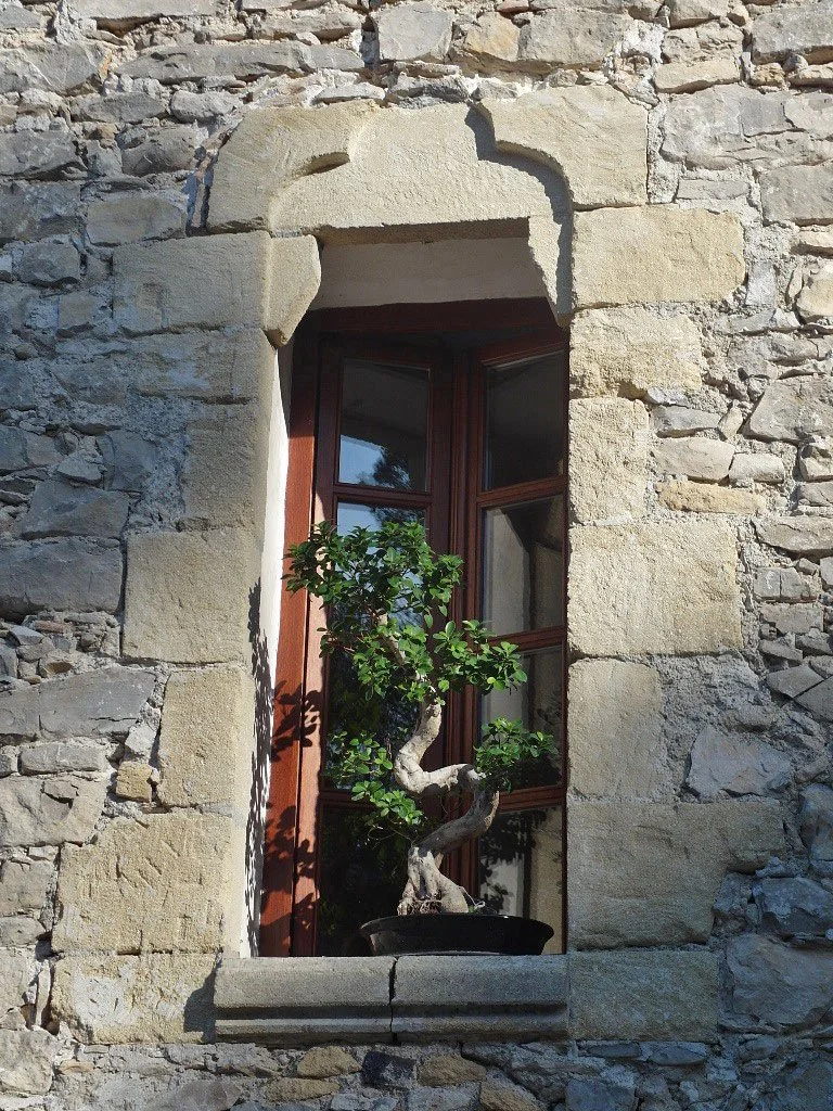 Ancien patrimoine religieux du Languedoc - Un prieuré du Moyen Âge devenu maison de vacances haut standing, alliant calme absolu et élégance contemporaine.