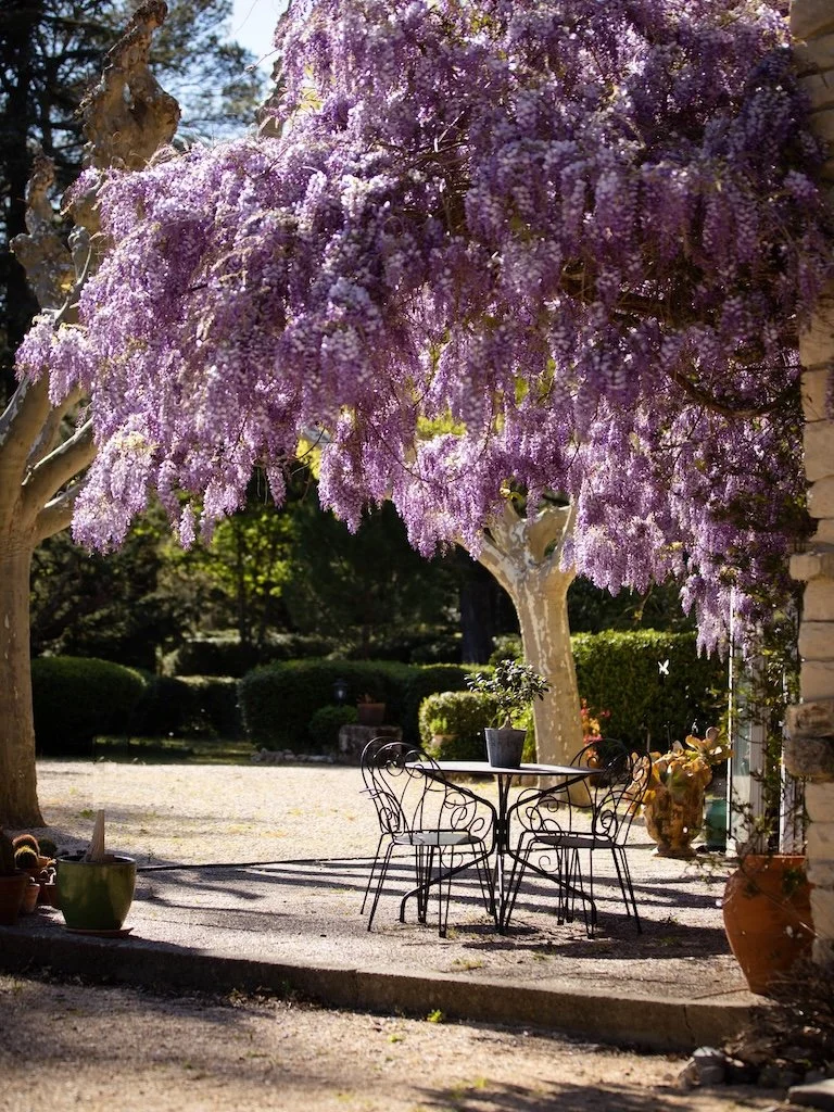 Louez une belle maison de vacances au confort 5 étoiles pour 2 personnes avec magnifique Glycine dans le Gard près de Sommières