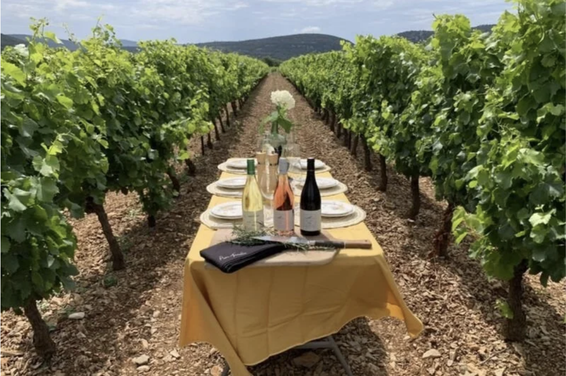 Le Domaine de Monteils situé à la campagne est entouré des vignes où sont produits les vins du Languedoc