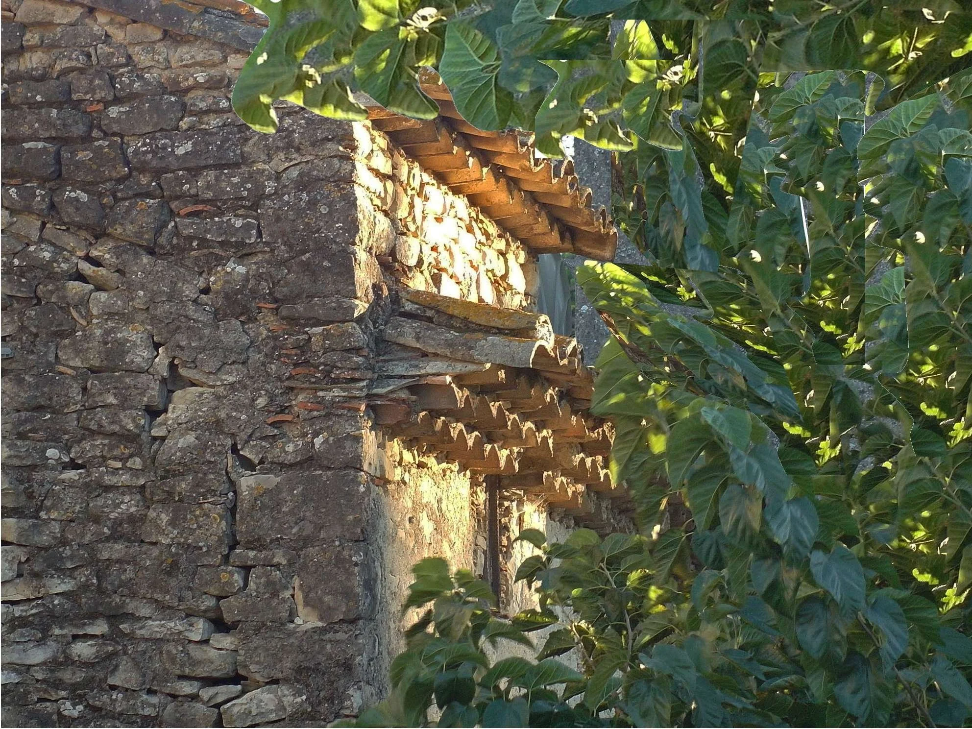 Témoin du passé viticole du Gard, le domaine associe aujourd’hui charme ancien et prestations 5 étoiles pour un séjour inoubliable.