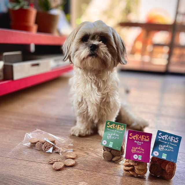 SCRAPS PACK DÉCOUVERTE – 4 MINI SACHETS DE 40G