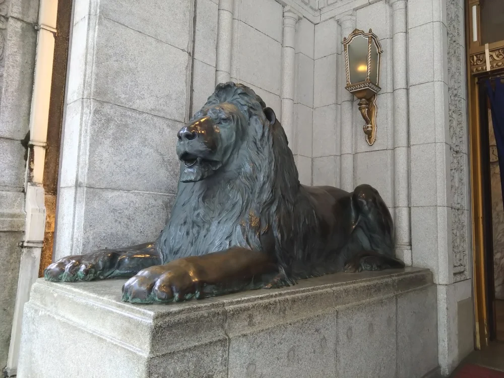 DSC_0078.JPG