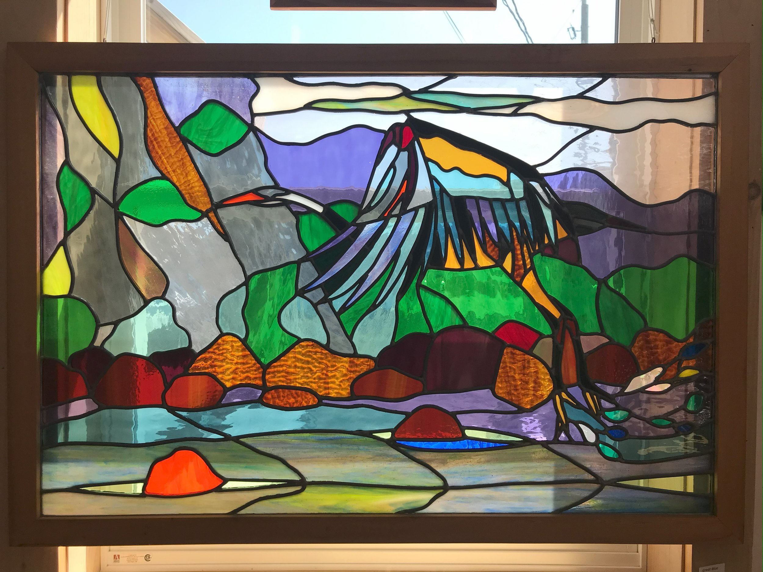 great blue heron flight.jpeg