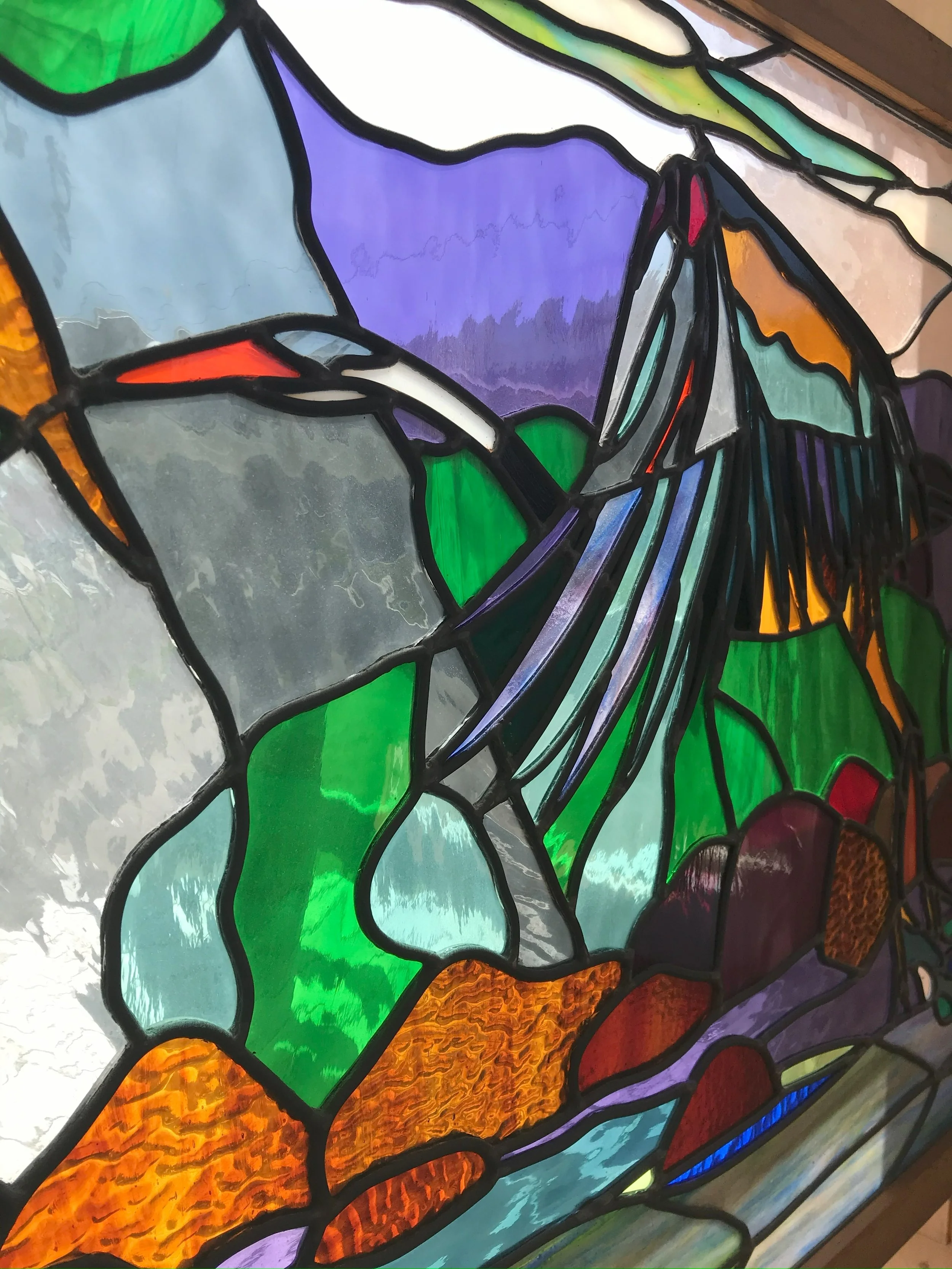 great blue heron flight2.jpeg