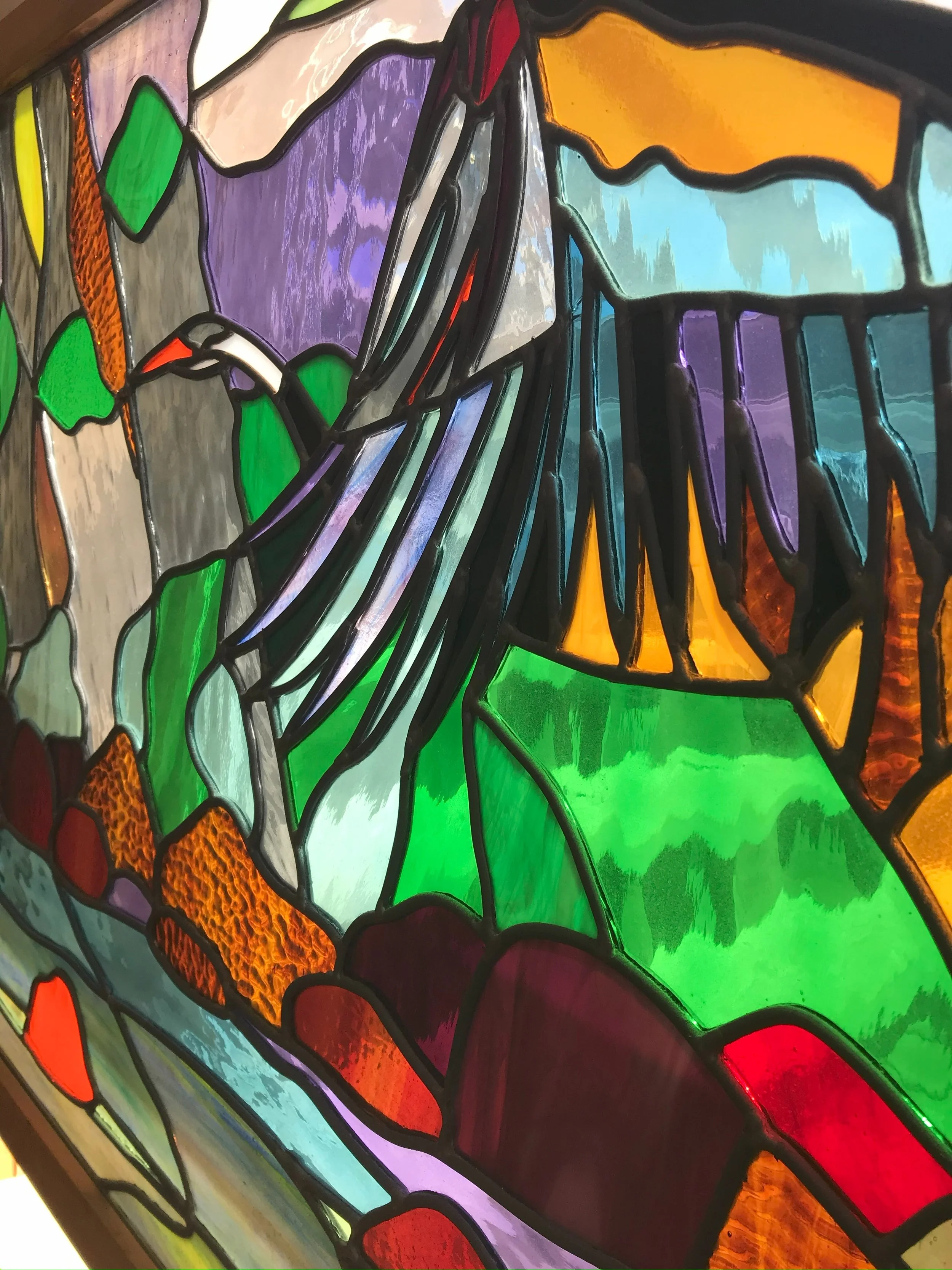 great blue heron flight3.jpeg