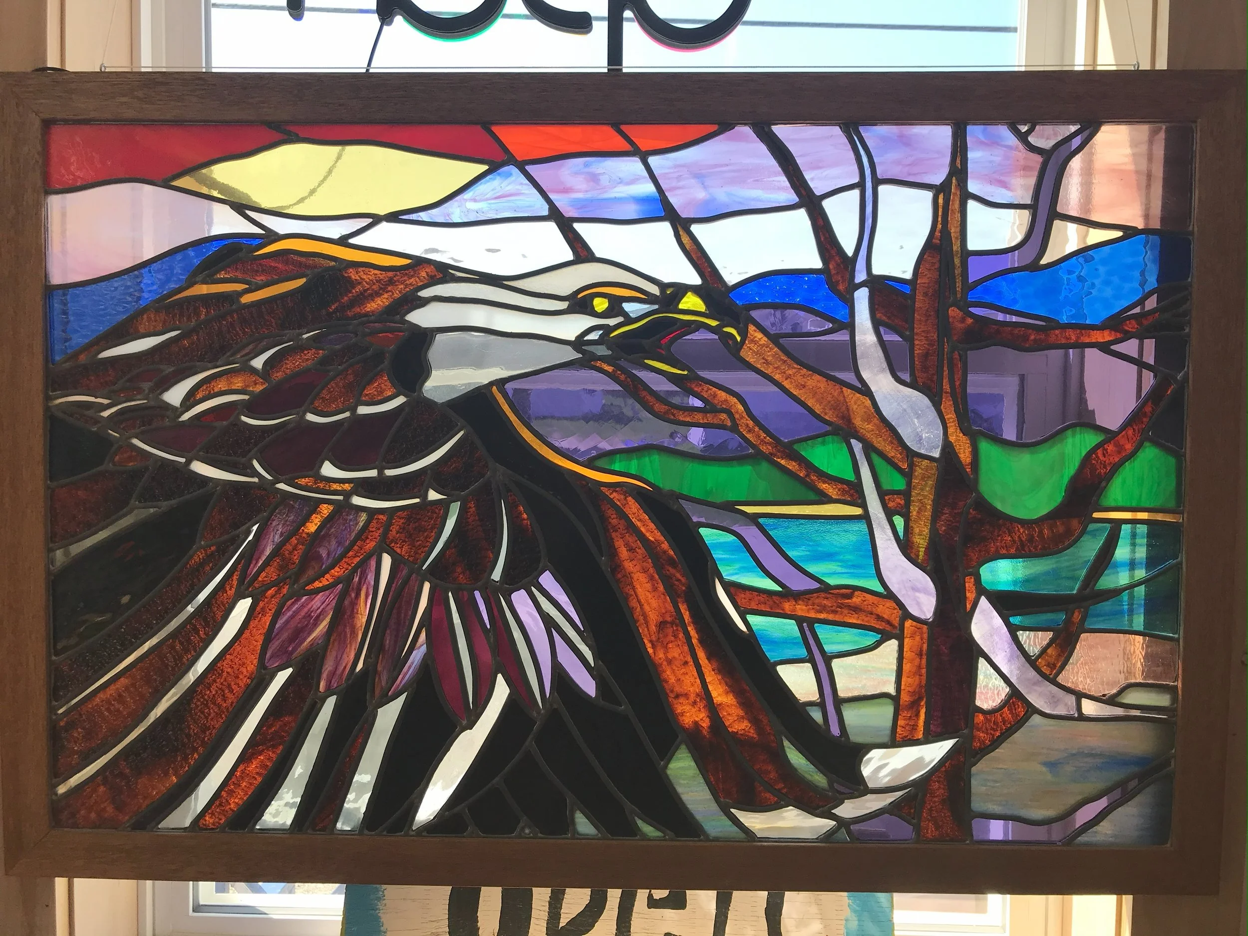 oyster bay bald eagle.jpeg